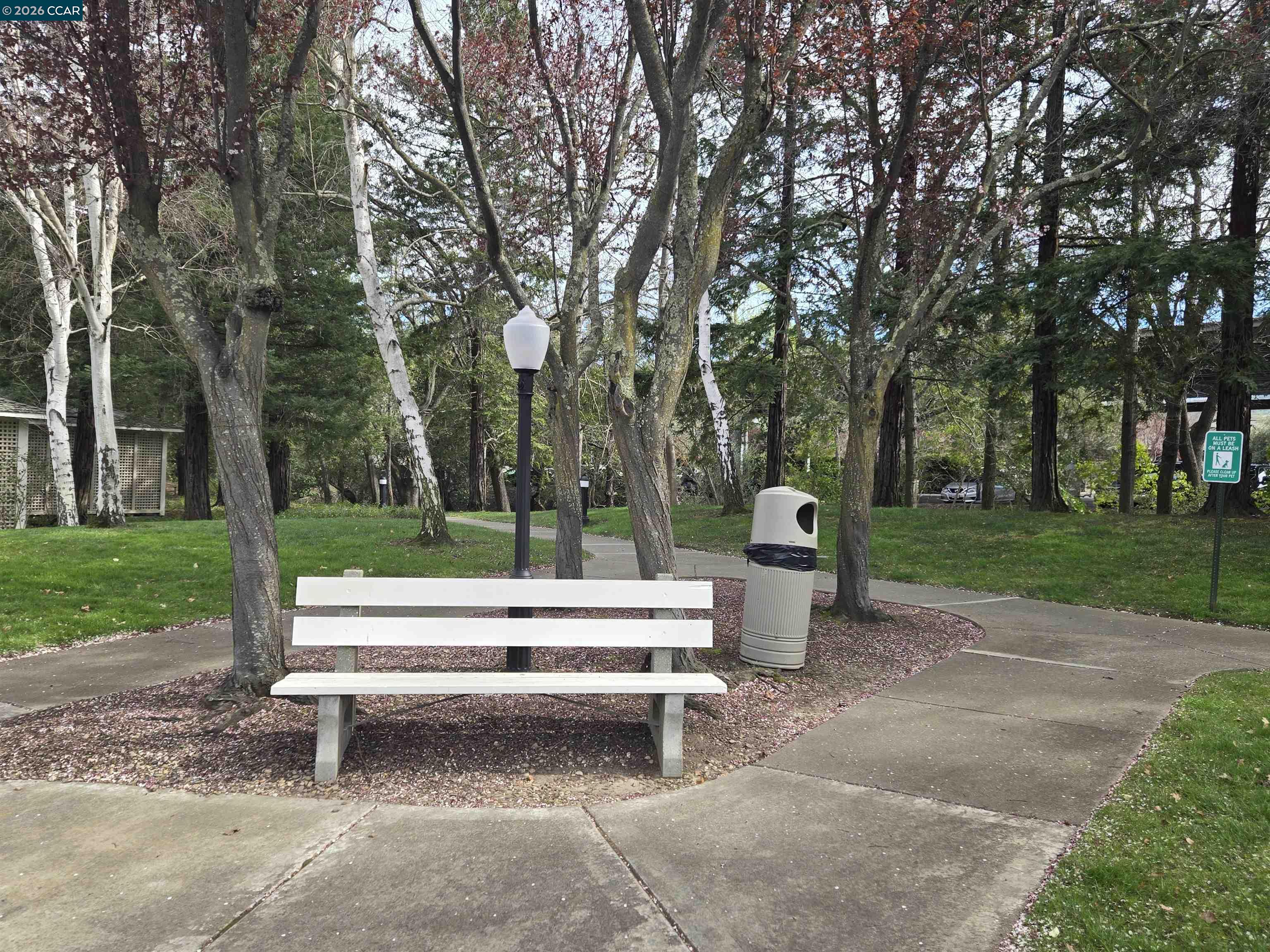 Photo #26: 41136945 Listing: Photo #26