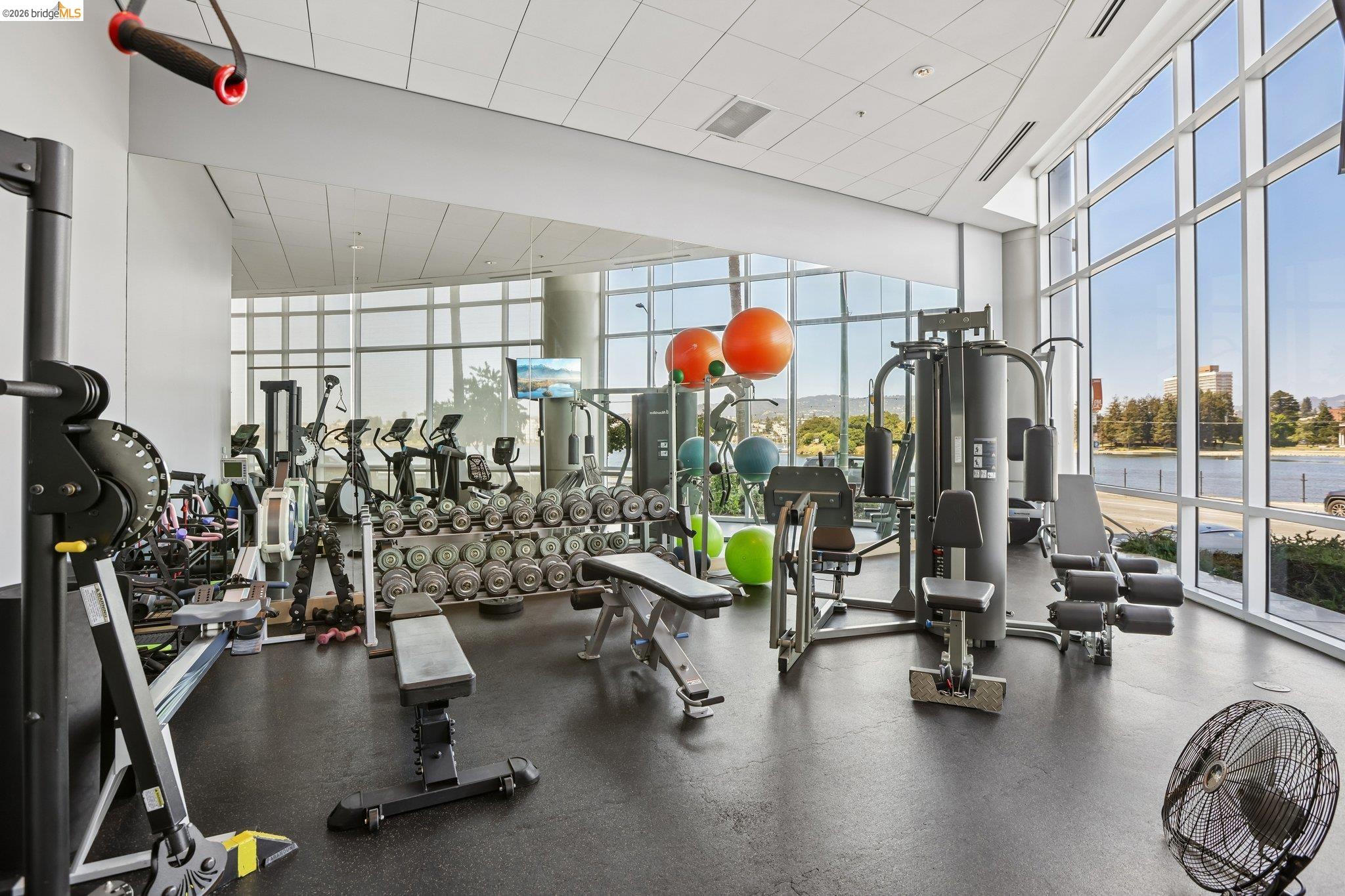 Photo #36: 41136964 Listing: Photo #36