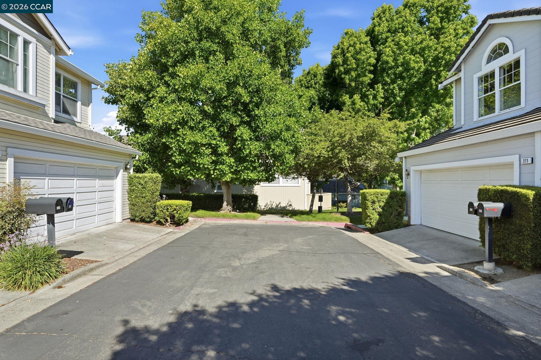 Photo #3: 41136982 Listing: Photo #3
