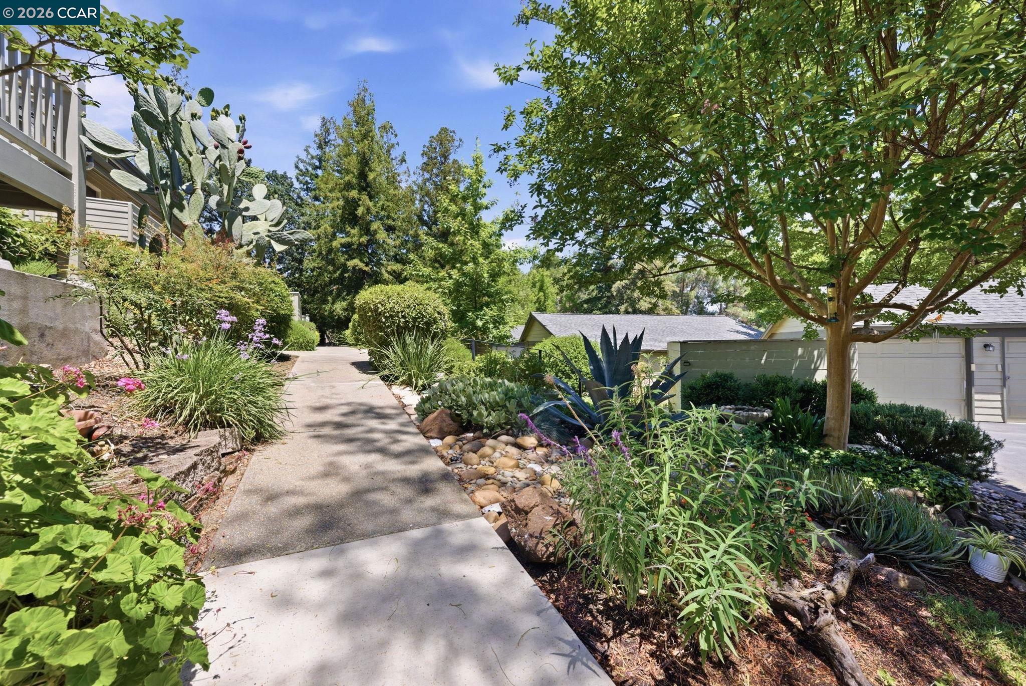 Photo #6: 41137185 Listing: Photo #6