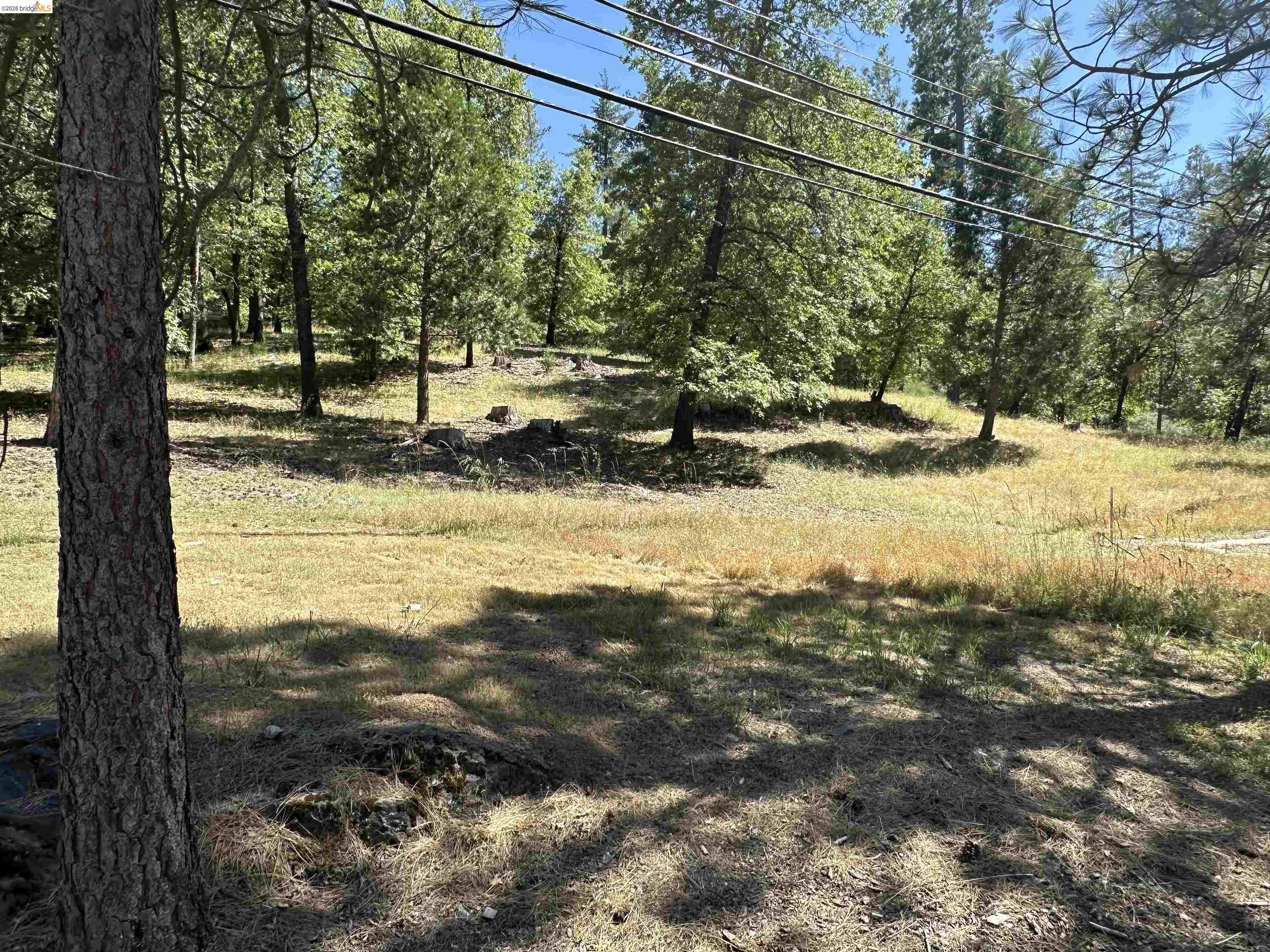 18935 Ferretti Road, Groveland CA 95321 — photo 2