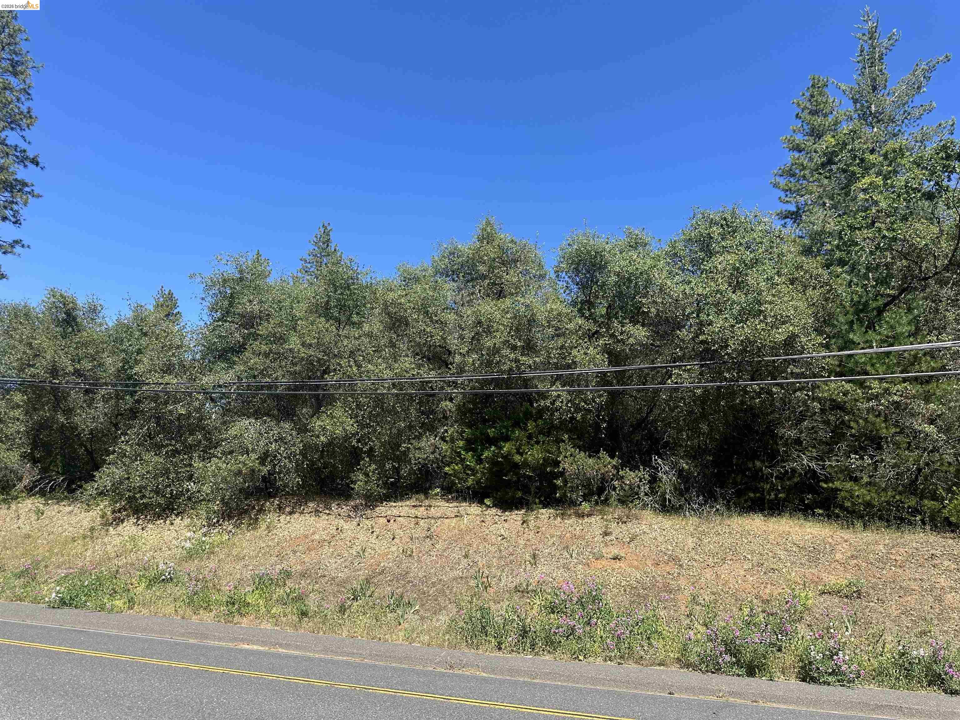 18935 Ferretti Road, Groveland CA 95321 — photo 19