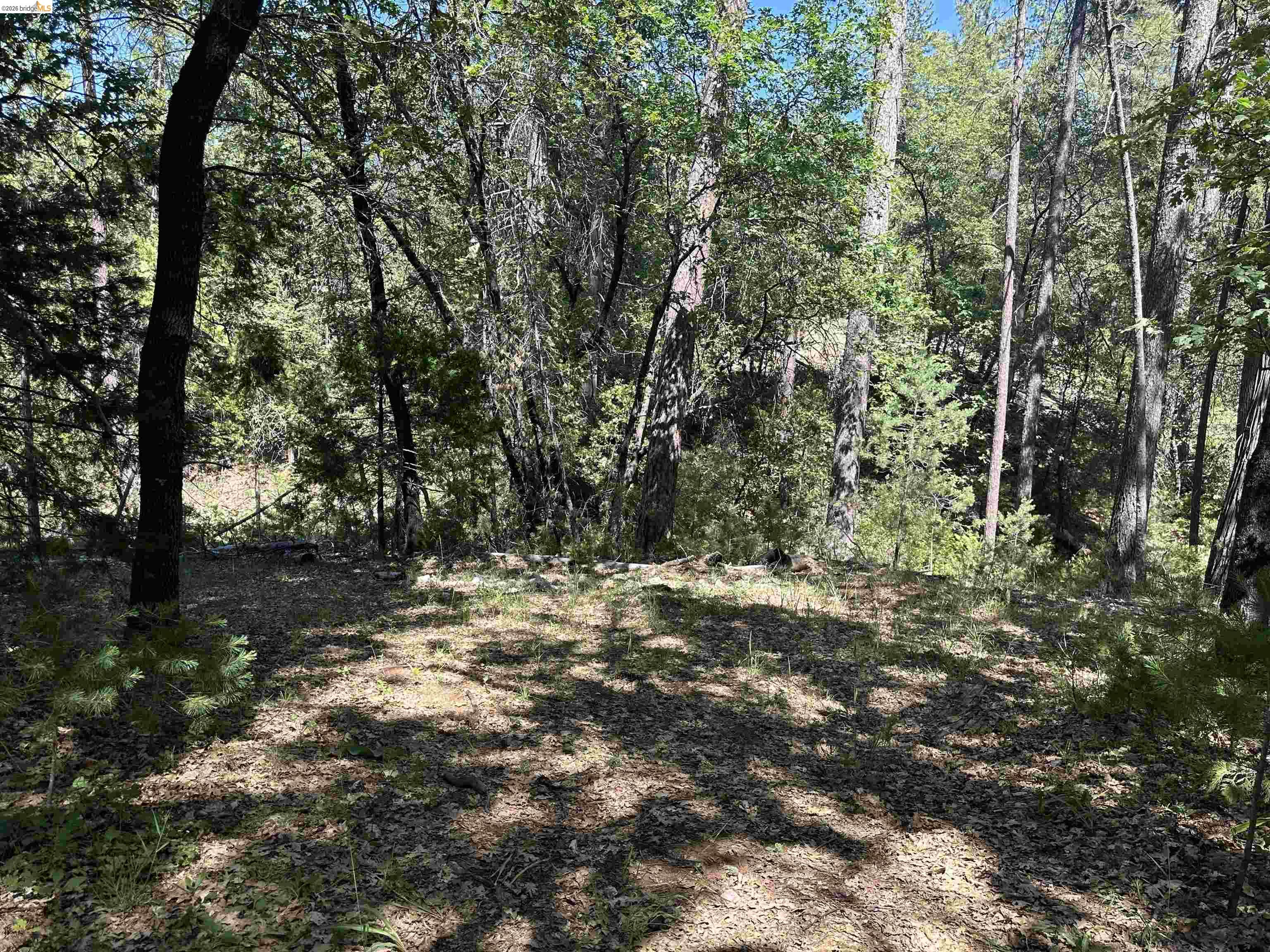 18935 Ferretti Road, Groveland CA 95321 — photo 21
