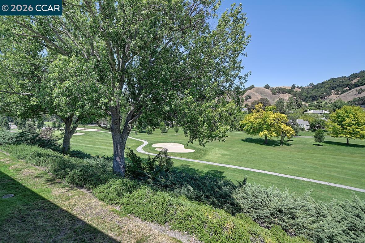 Photo #16: 41137332 Listing: Photo #16
