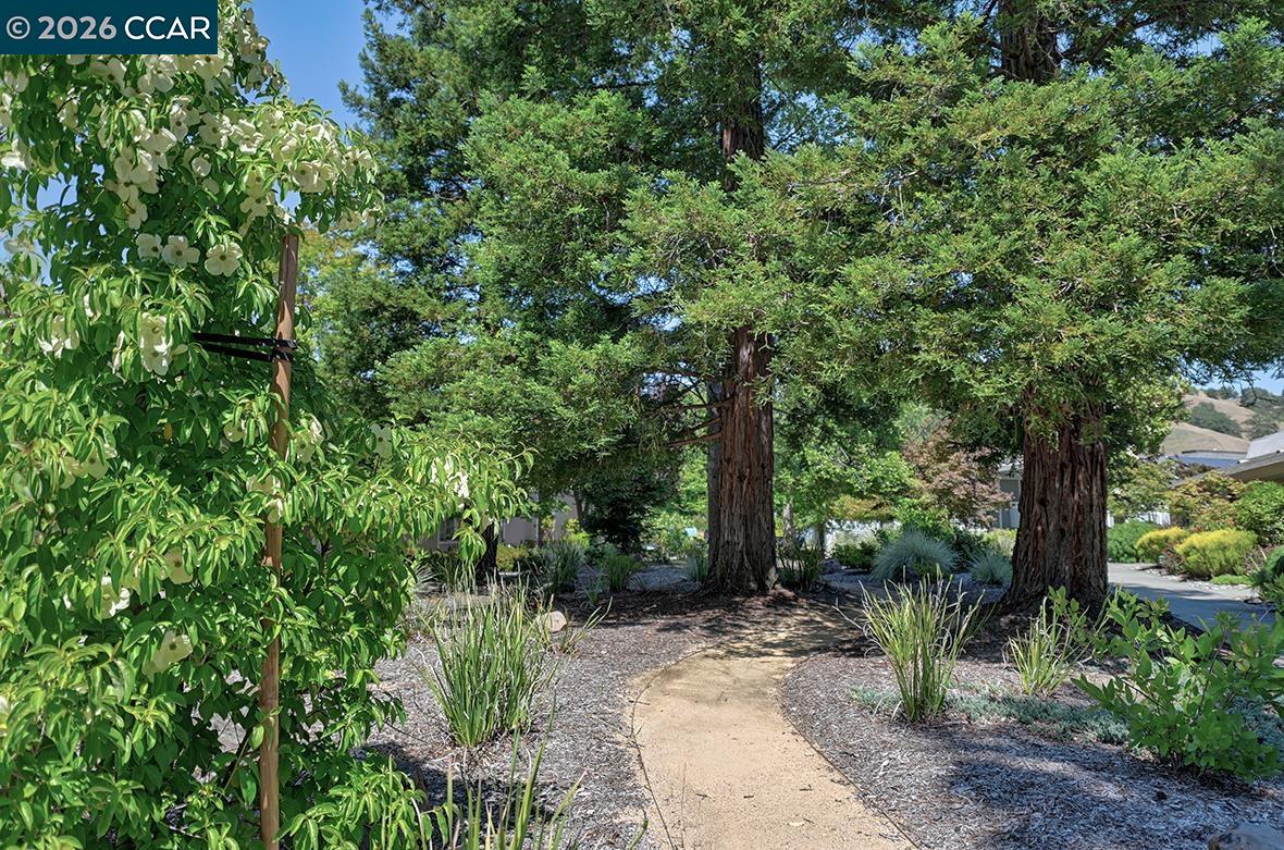 3136 Tice Creek Dr # 5, Walnut Creek CA 94595 — photo 41