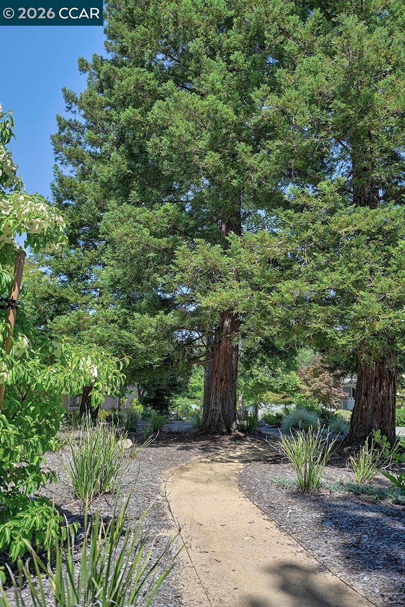 3136 Tice Creek Dr # 5, Walnut Creek CA 94595 — photo 42