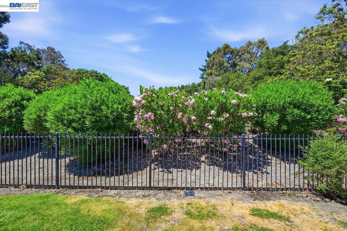165 Rosario Ct, San Ramon CA 94583 — photo 59
