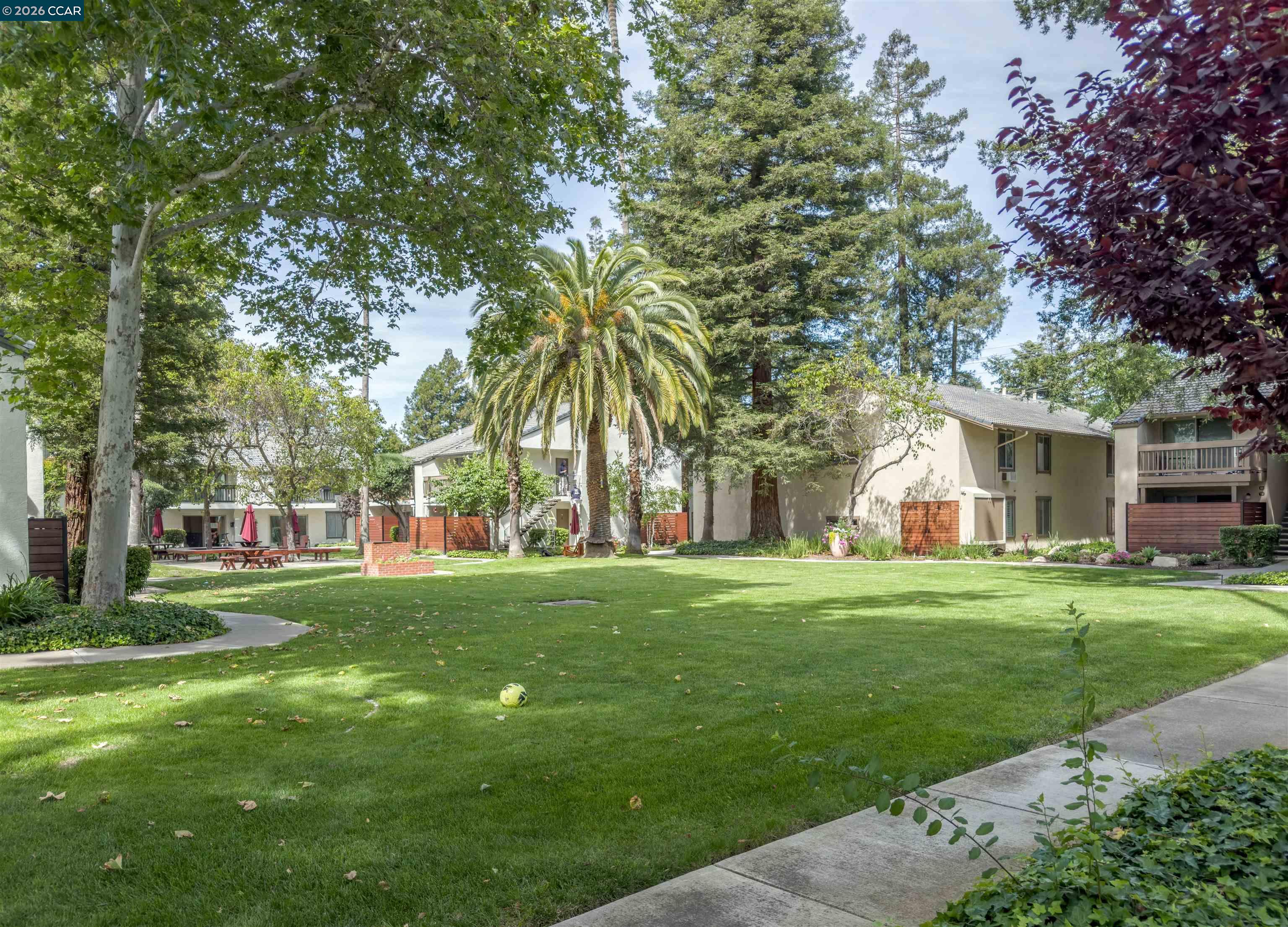 Photo #20: 41137411 Listing: Photo #20