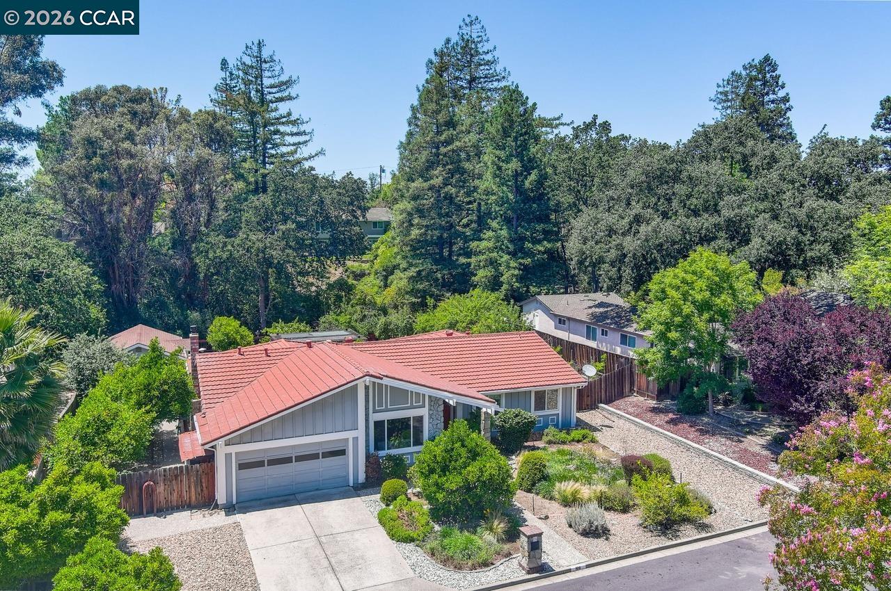 Walnut Creek CA Homes For Sale