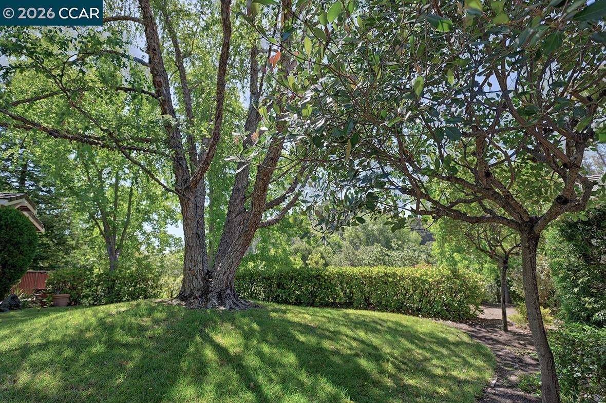 Photo #48: 41137492 Listing: Photo #48