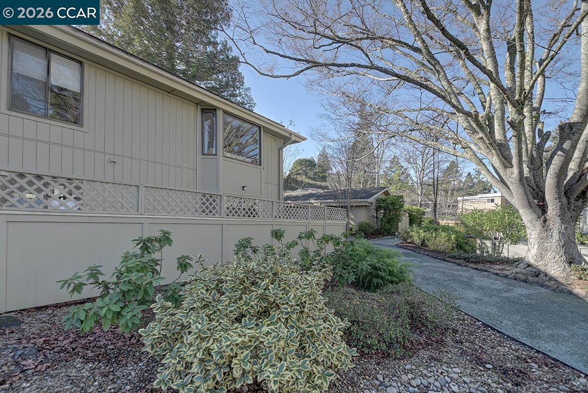Photo #23: 41137501 Listing: Photo #23
