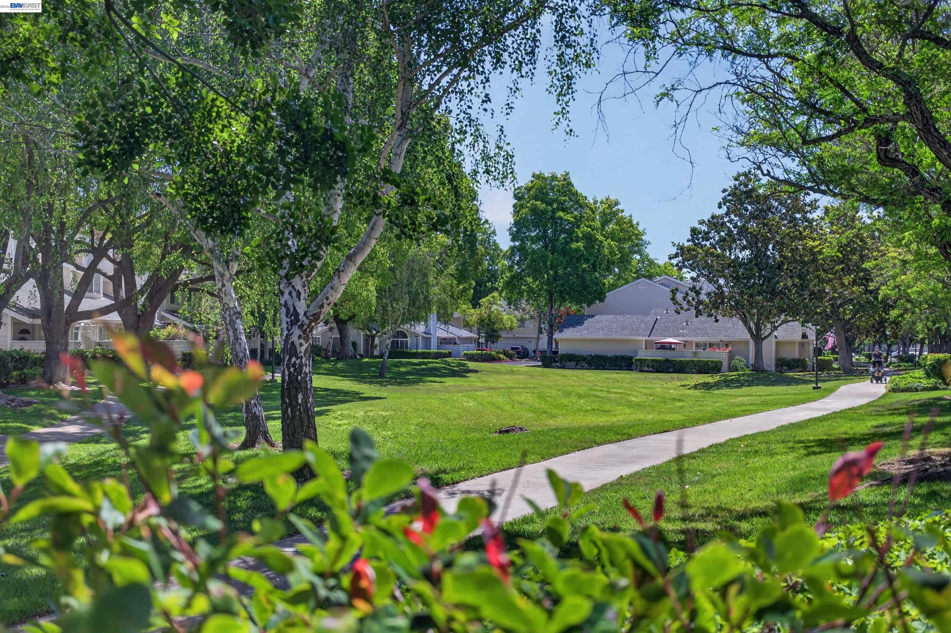 Photo #82: 41137511 Listing: Photo #82