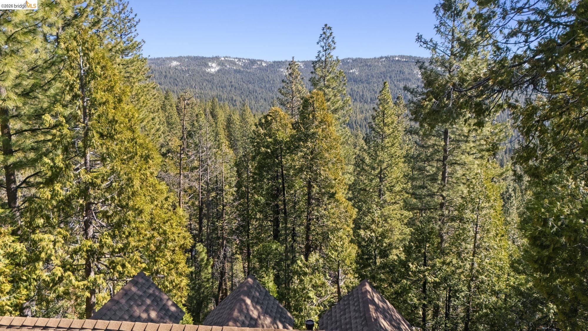 29803 Mono Trail, Cold Springs CA 95335 — photo 39