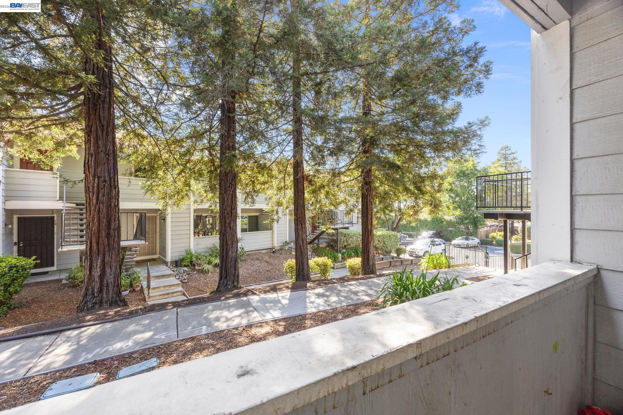 Photo #19: 41137578 Listing: Photo #19