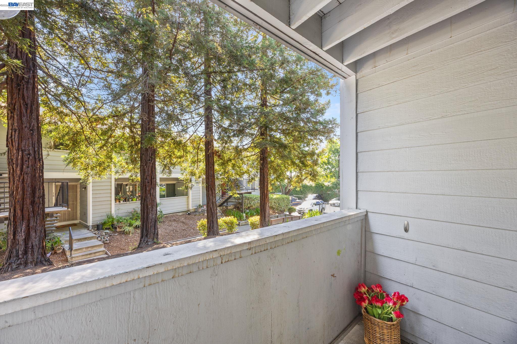 Photo #20: 41137578 Listing: Photo #20