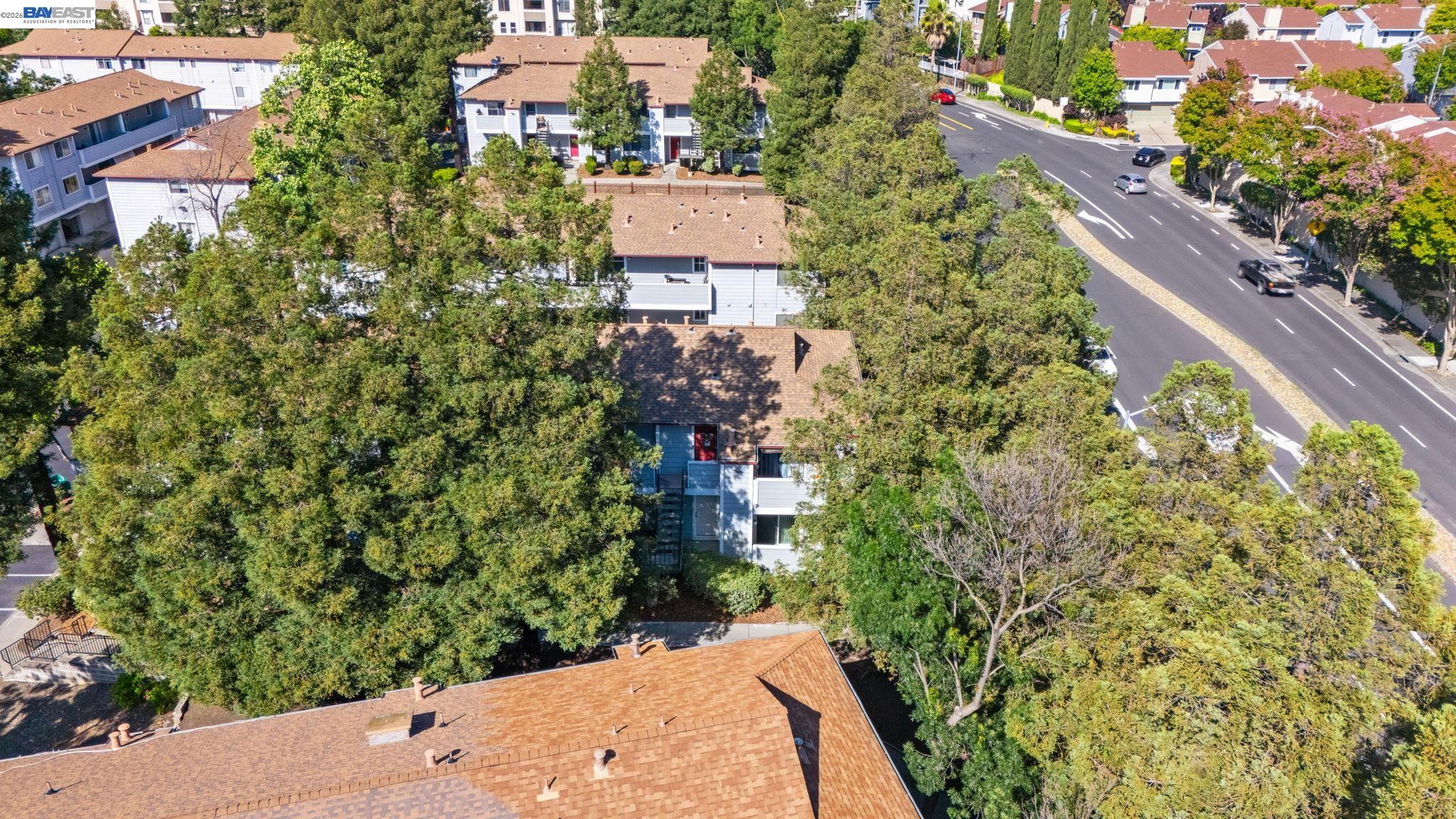 Photo #29: 41137578 Listing: Photo #29