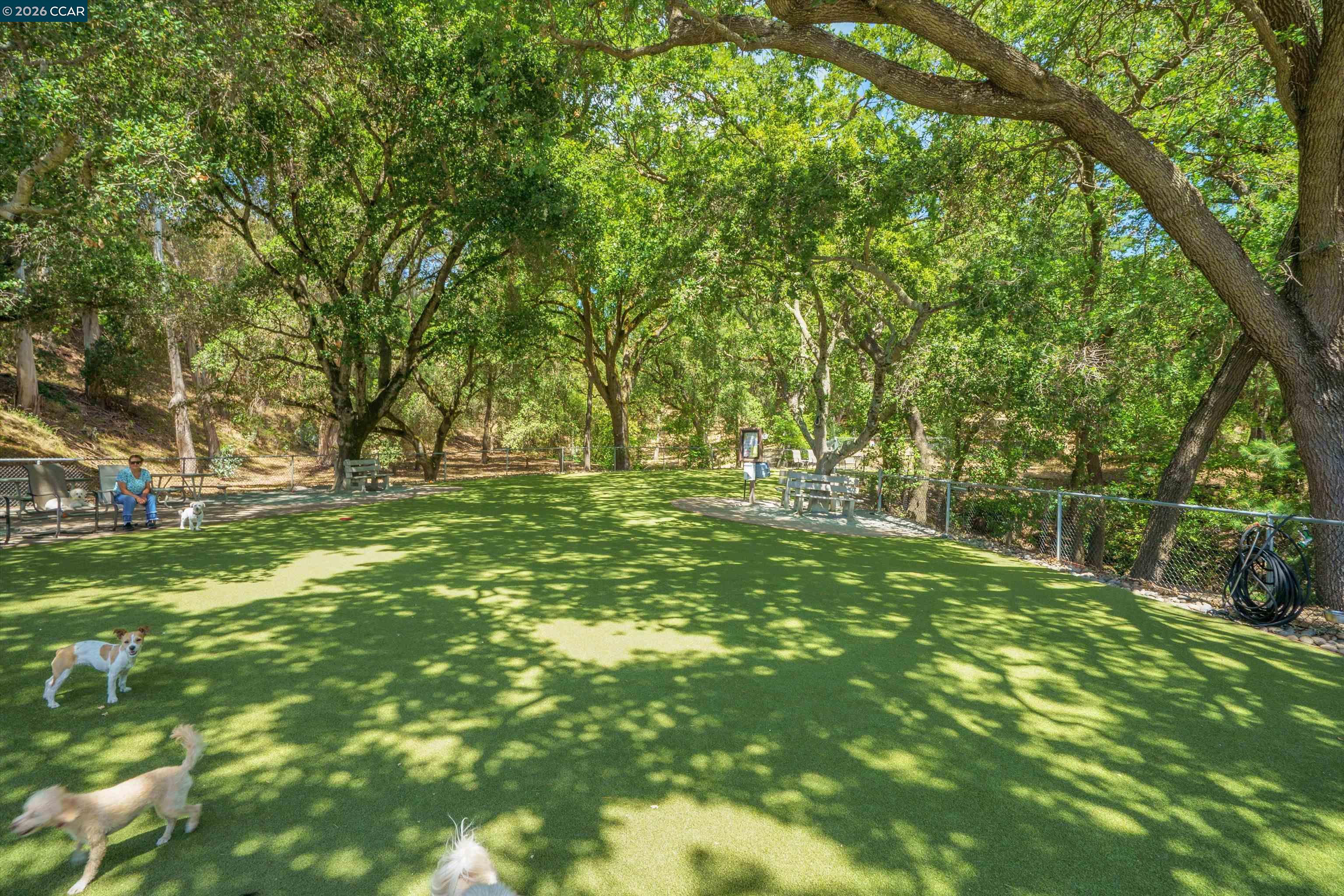 Photo #24: 41137597 Listing: Photo #24