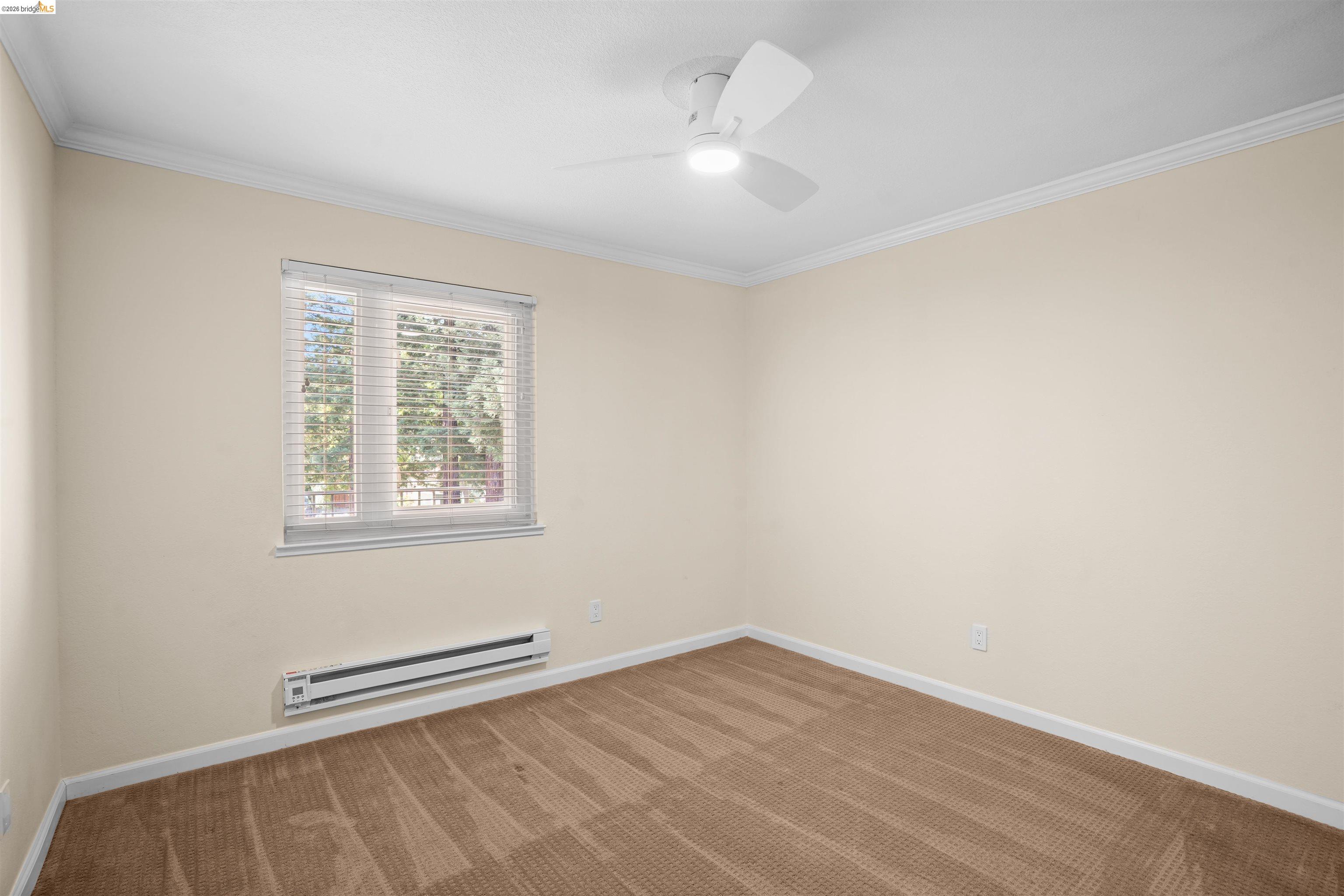 Photo #40: 41137661 Listing: Photo #40