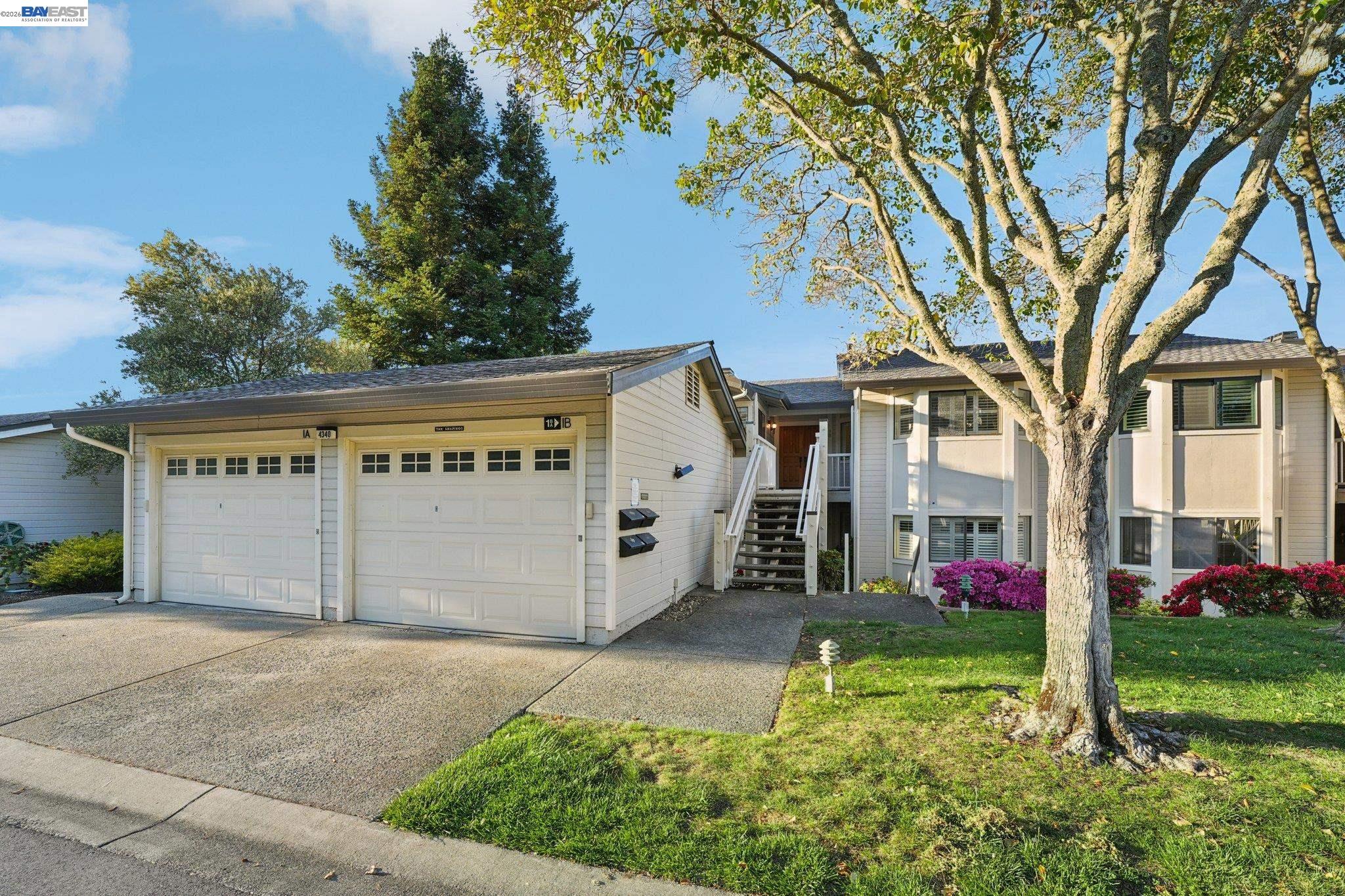 Photo #3: 41137666 Listing: Photo #3