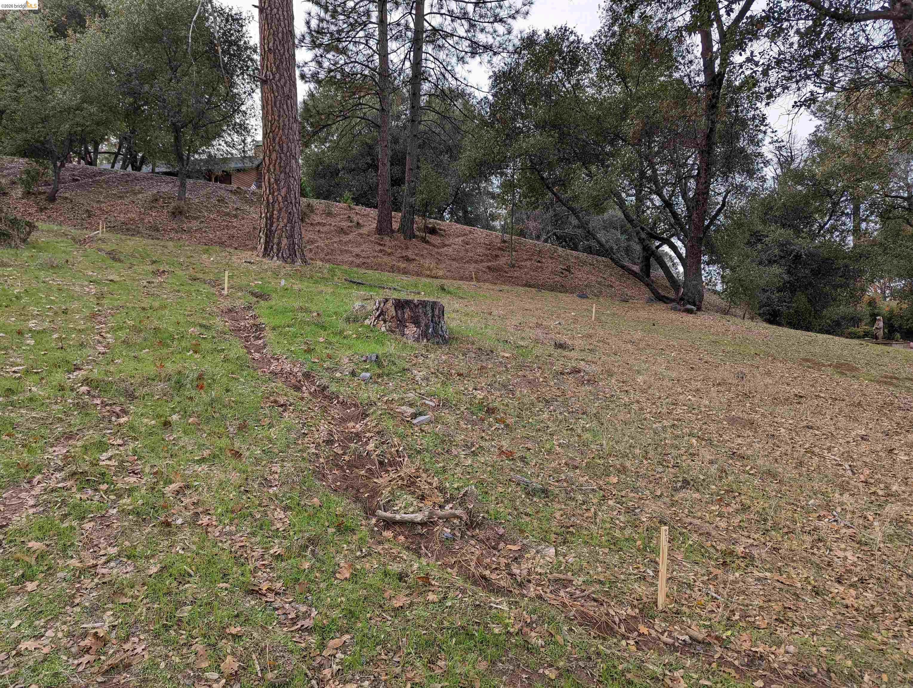 19055 Crocker Station, Groveland CA 95321 — photo 4