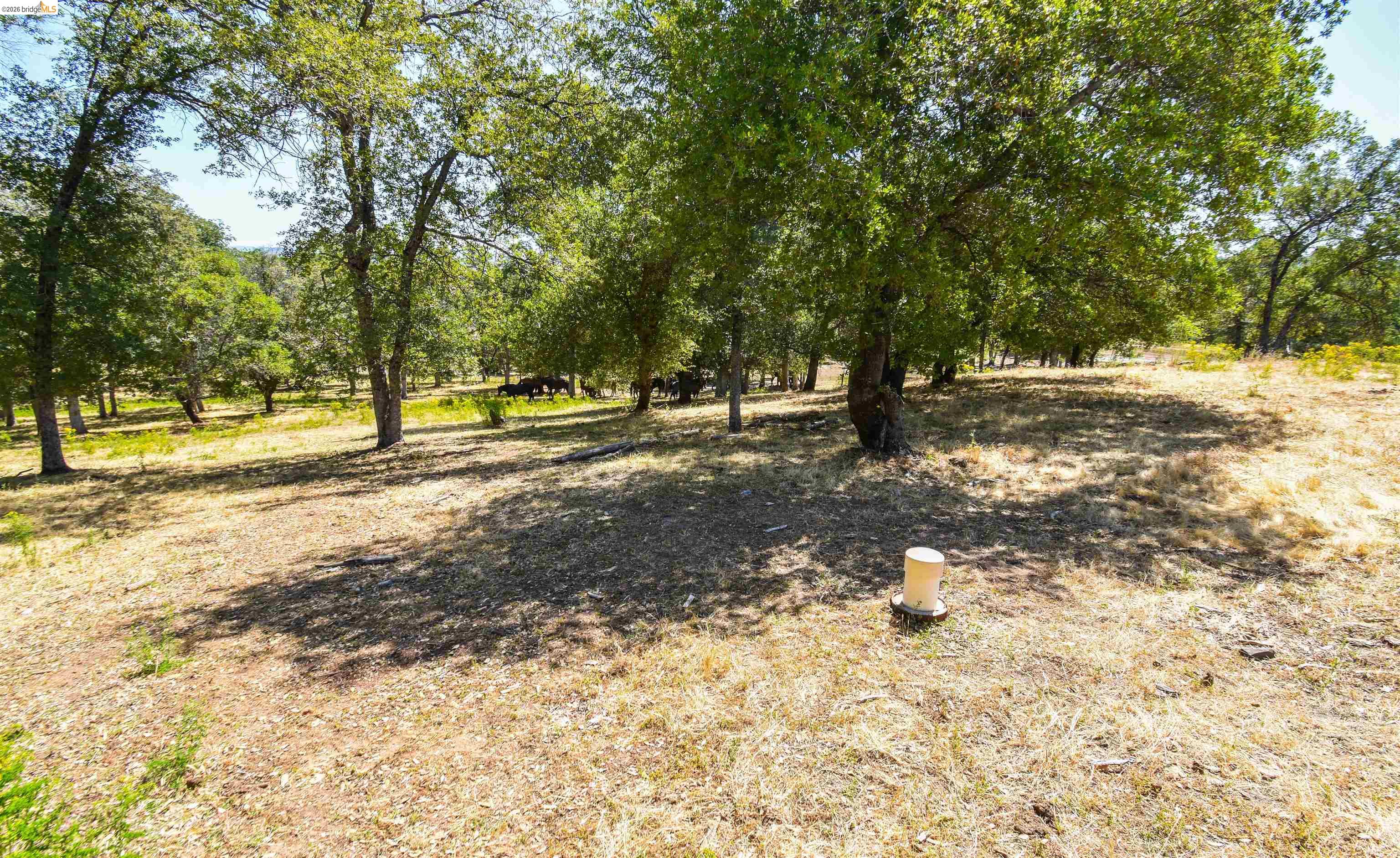 45+ Ac Powell Ranch Road, Sonora CA 95370 — photo 14