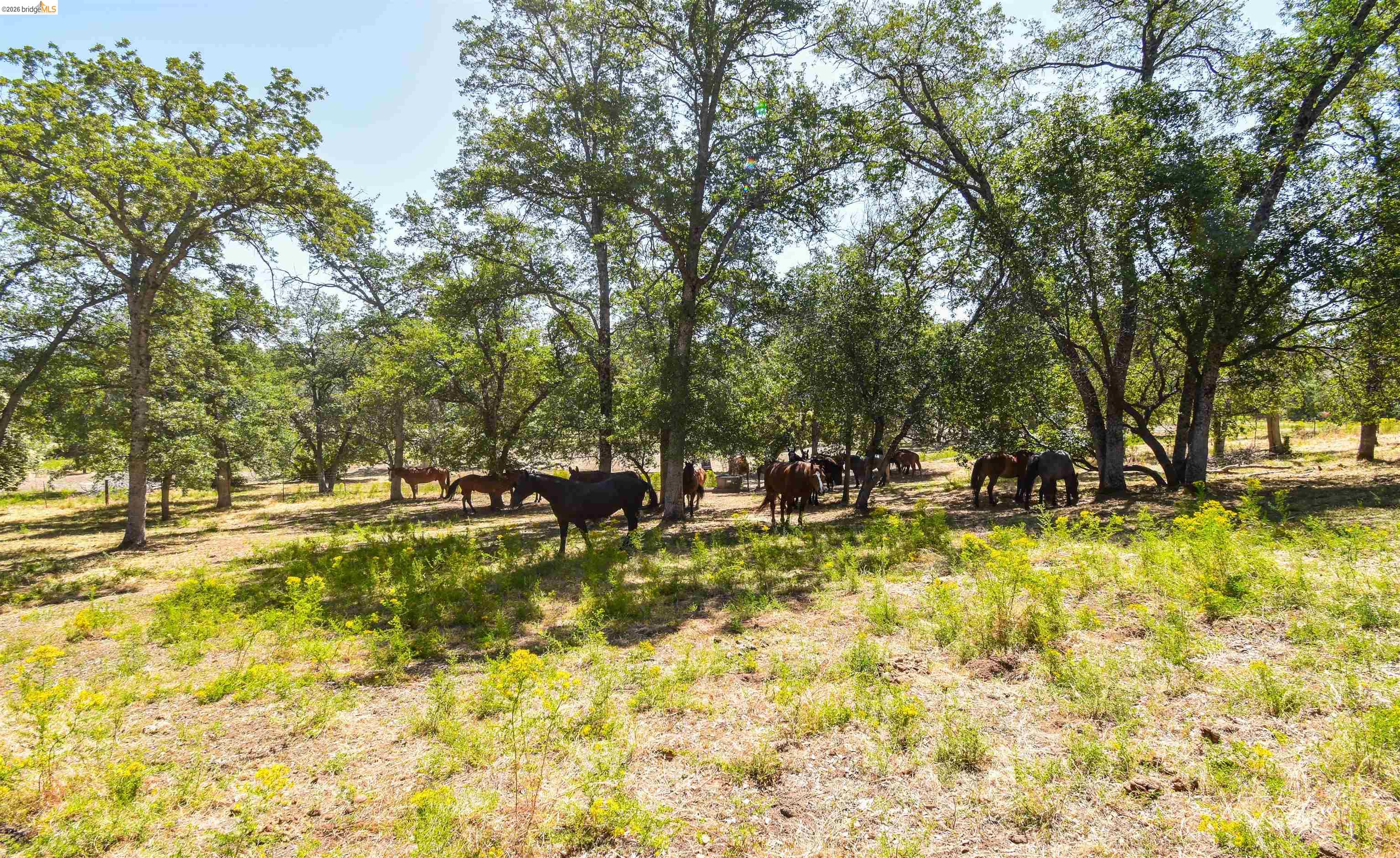 45+ Ac Powell Ranch Road, Sonora CA 95370 — photo 15