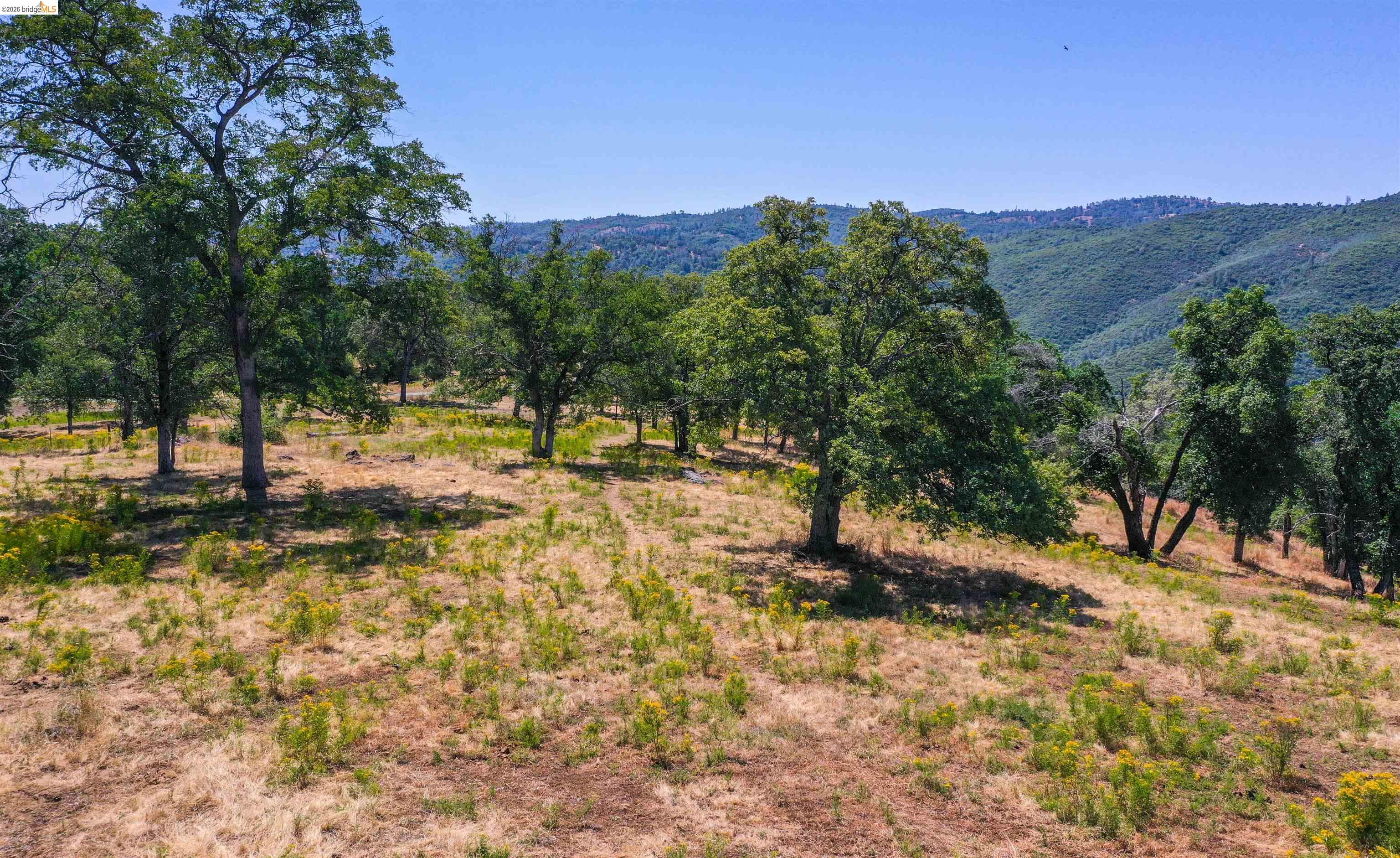 45+ Ac Powell Ranch Road, Sonora CA 95370 — photo 5