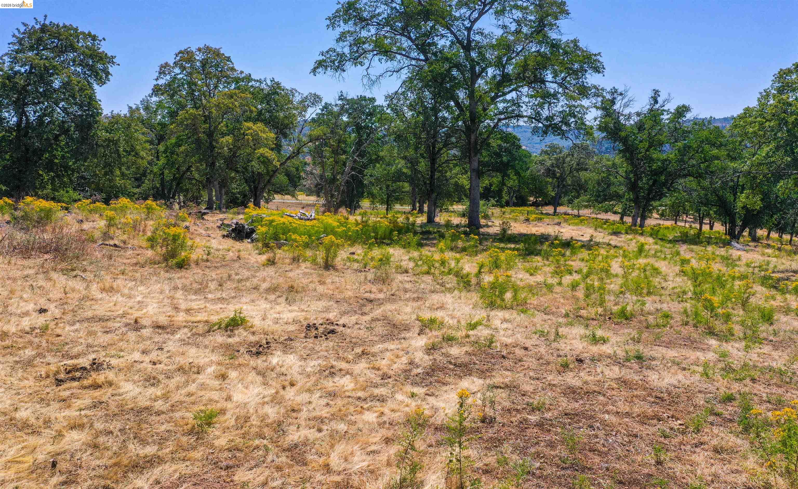 45+ Ac Powell Ranch Road, Sonora CA 95370 — photo 6