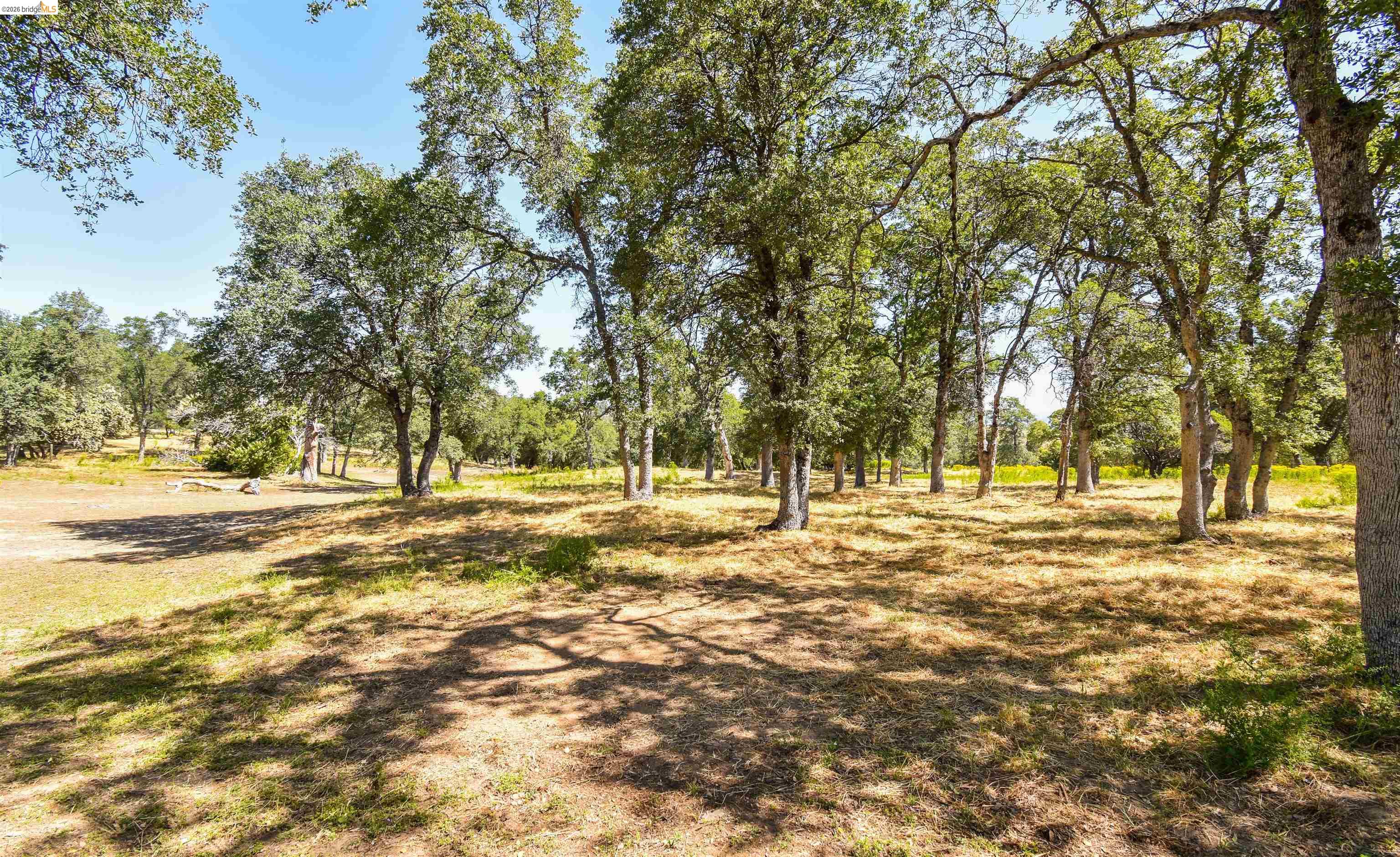 45+ Ac Powell Ranch Road, Sonora CA 95370 — photo 7