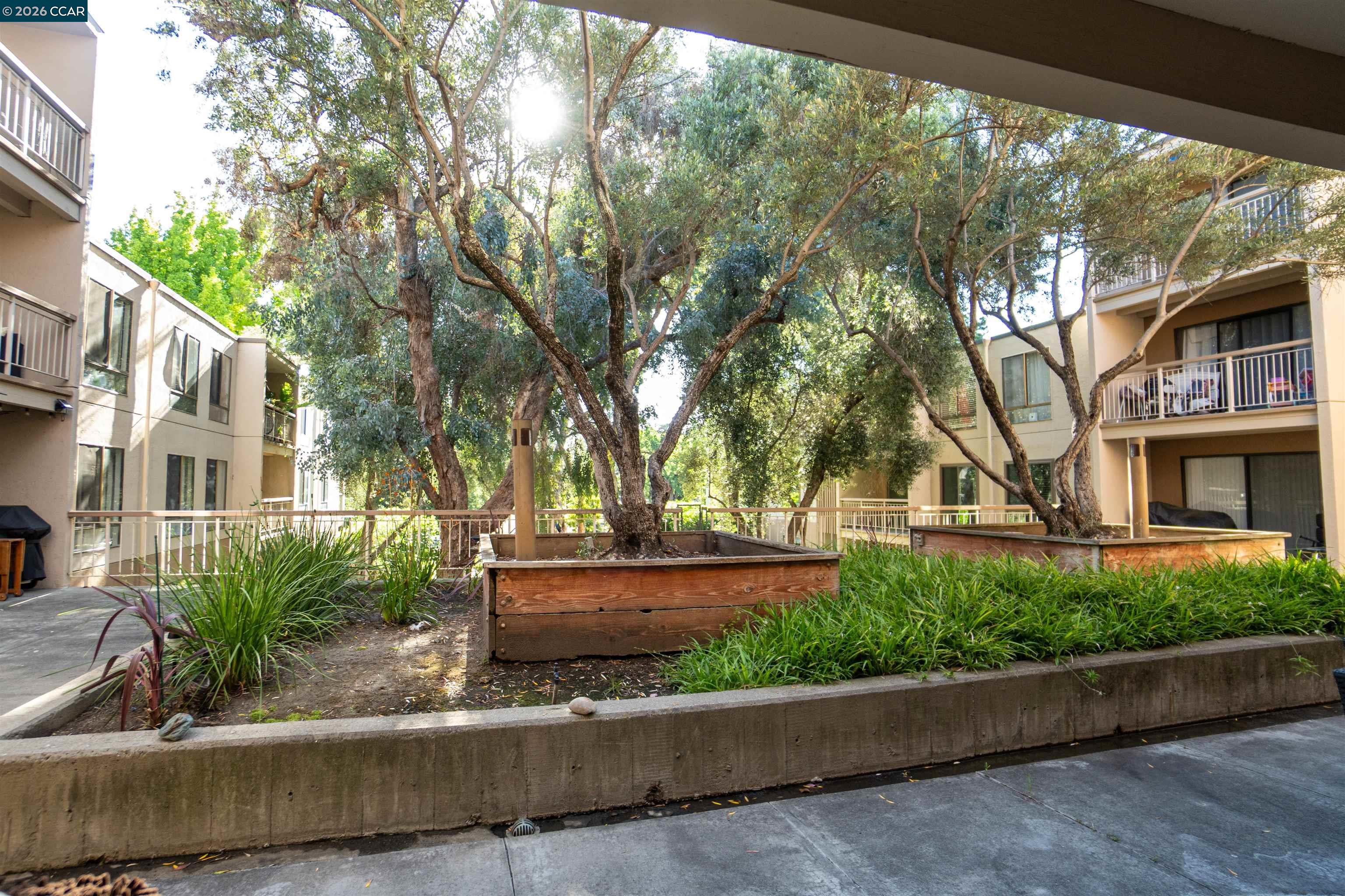 Photo #19: 41137825 Listing: Photo #19