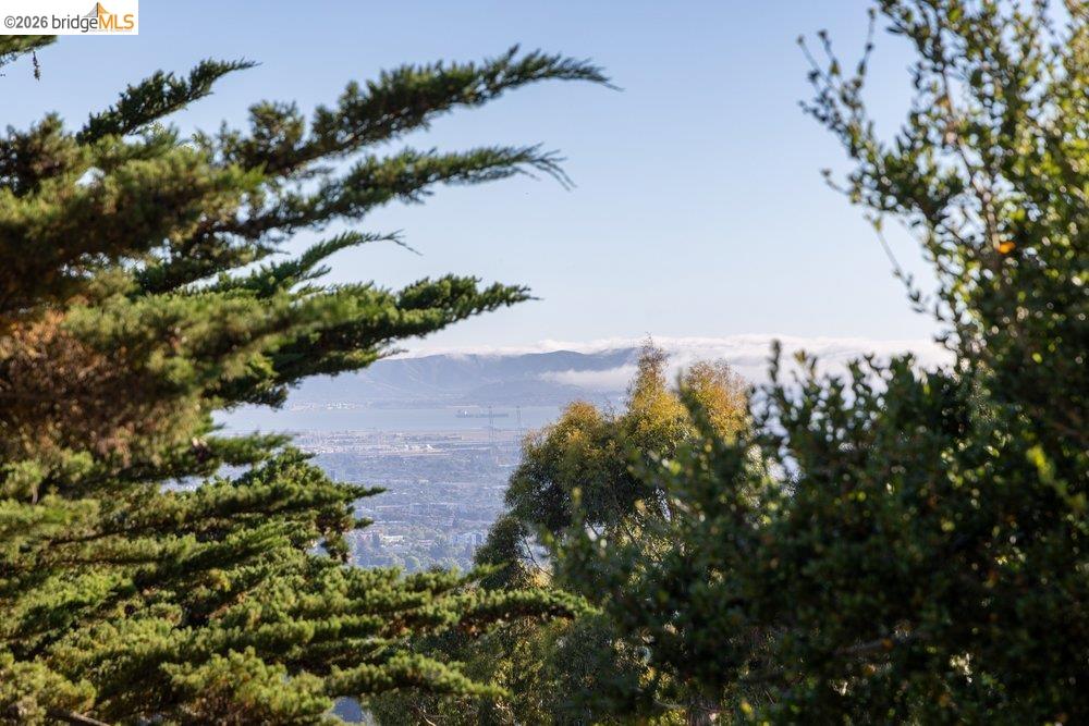 85 Gravatt Drive, Berkeley CA 94705 — photo 84