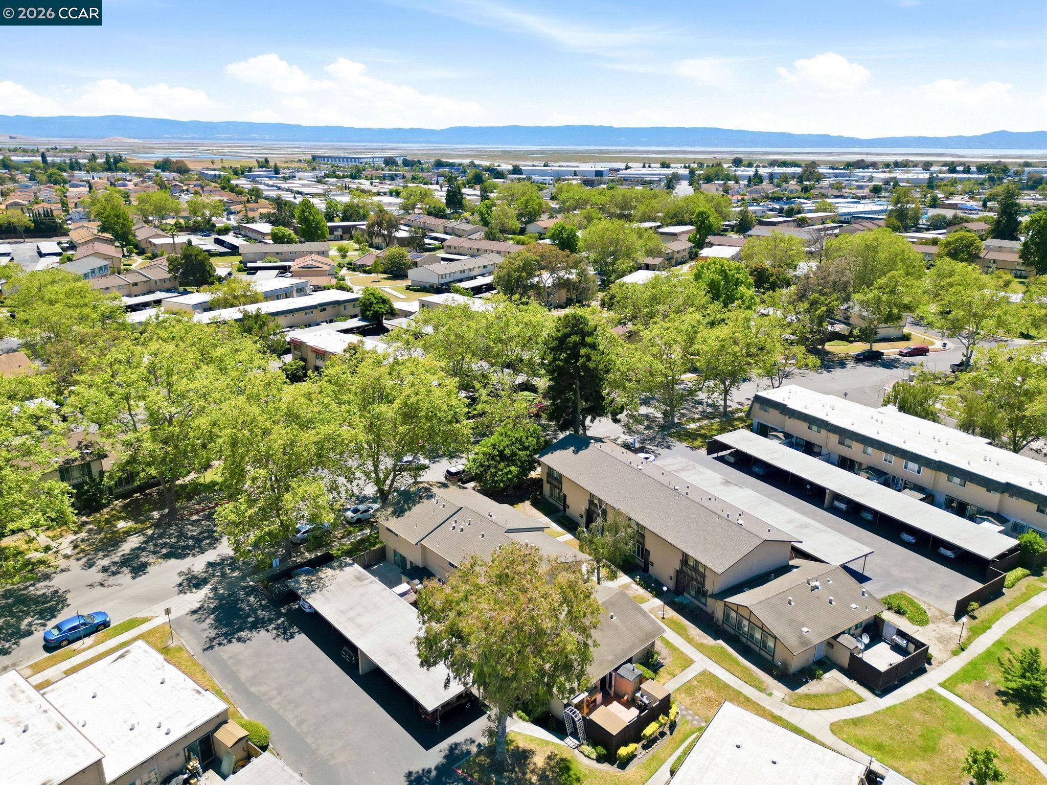 Photo #56: 41137888 Listing: Photo #56