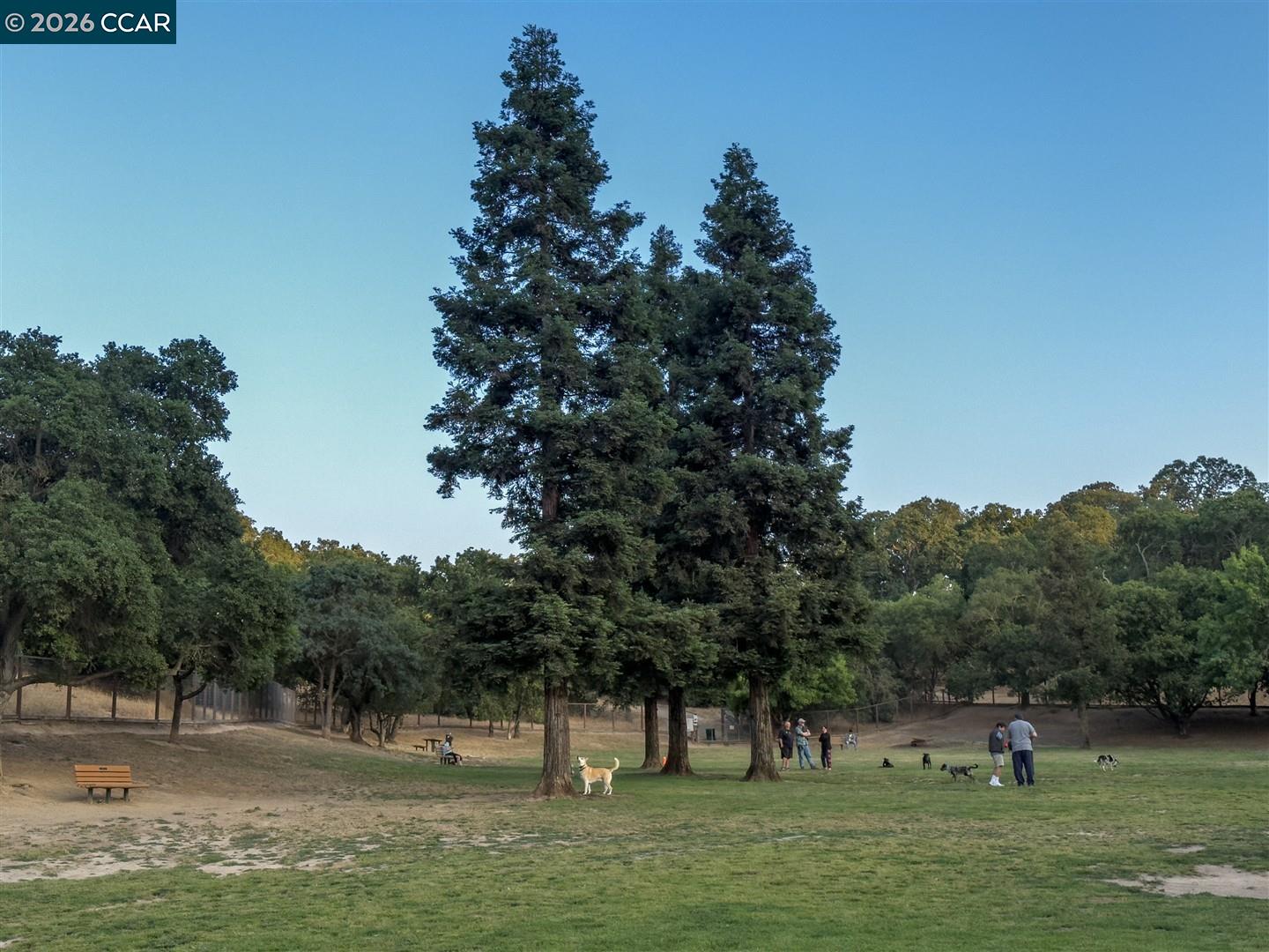 1003 Santa Cruz Dr, Pleasant Hill CA 94523 — photo 43