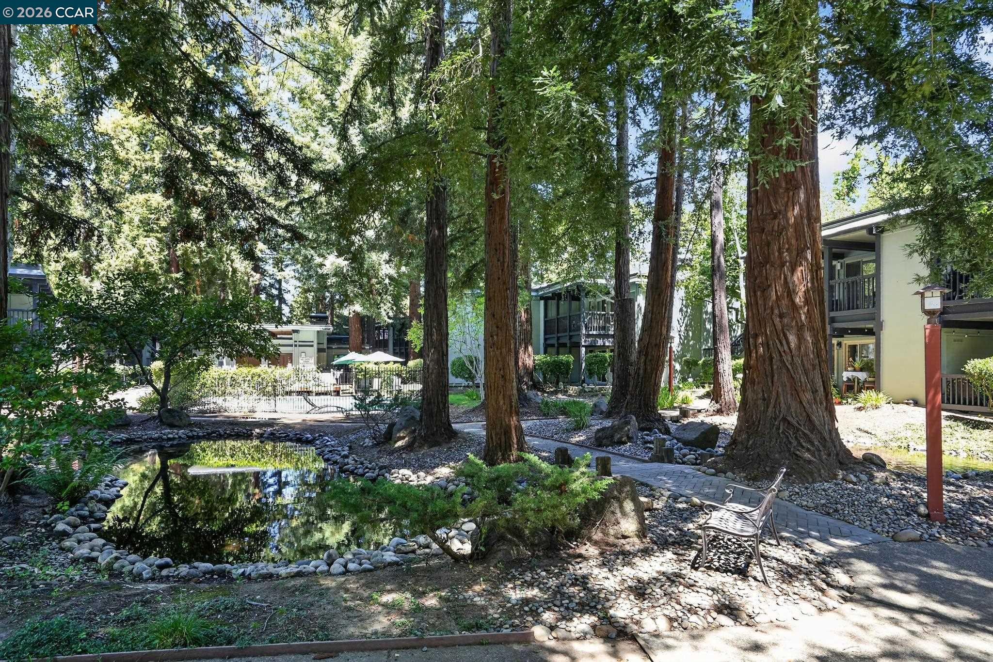 167 Rubicon Cir, Danville CA 94526 — photo 38