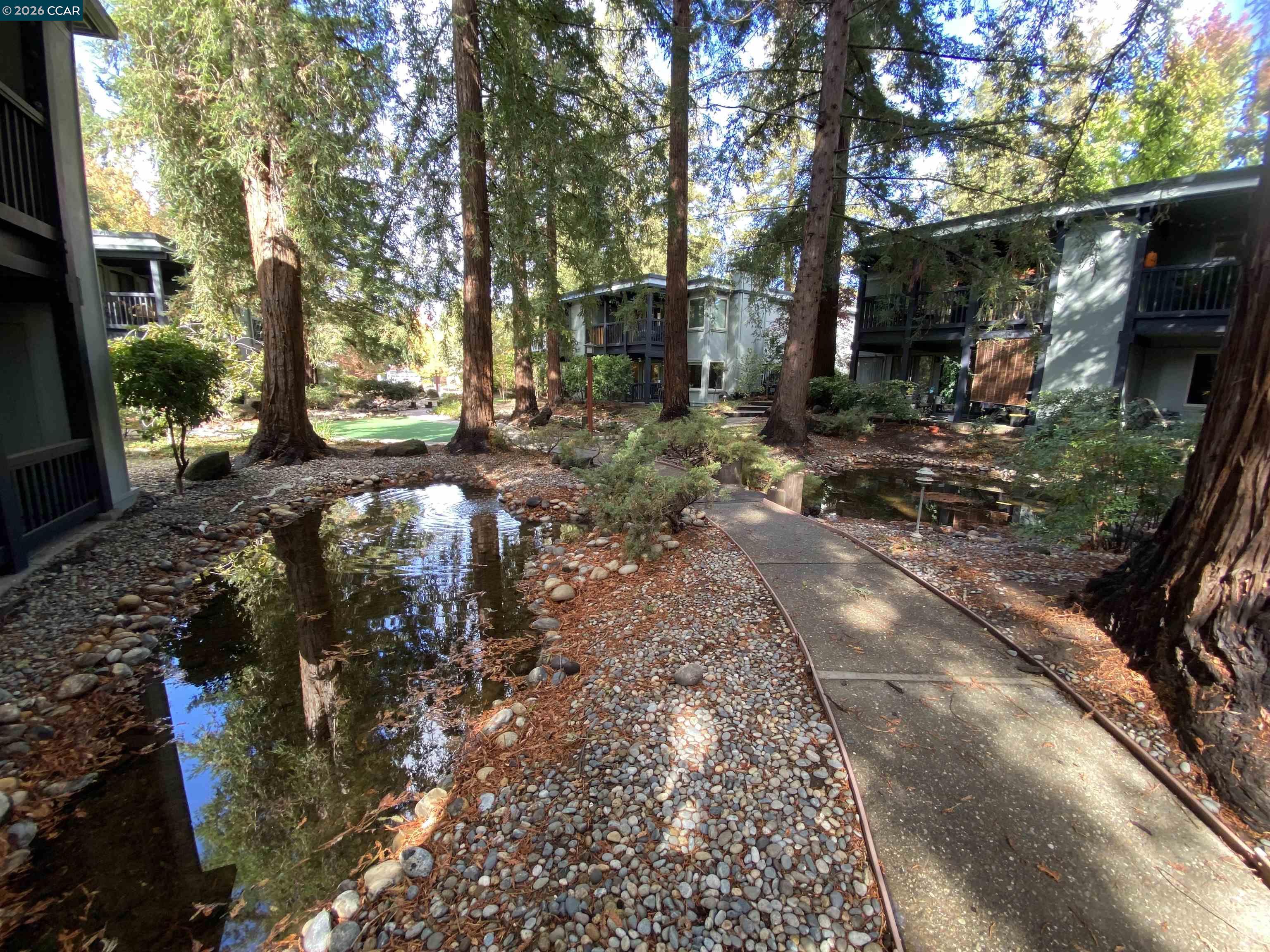 167 Rubicon Cir, Danville CA 94526 — photo 39