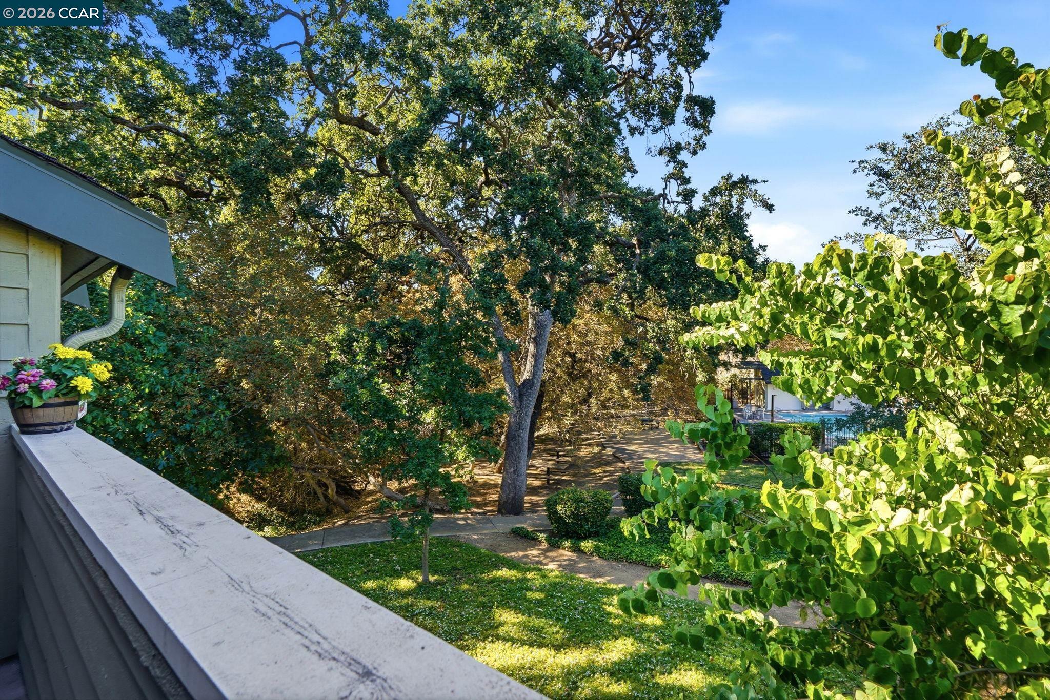 Photo #22: 41137912 Listing: Photo #22