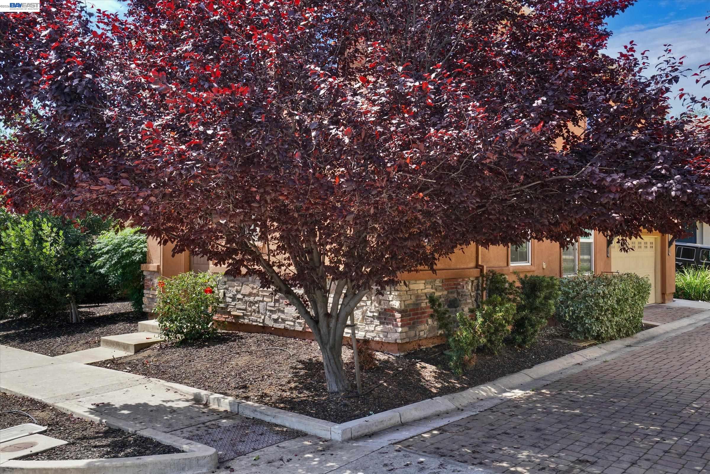 321 Cortona Way, Brentwood CA 94513 — photo 43