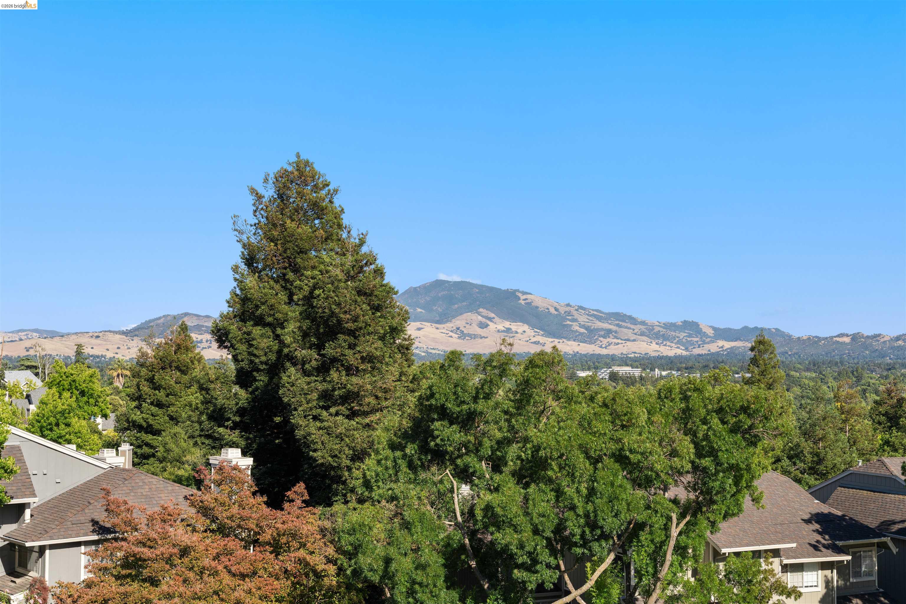 Photo #16: 41138002 Listing: Photo #16