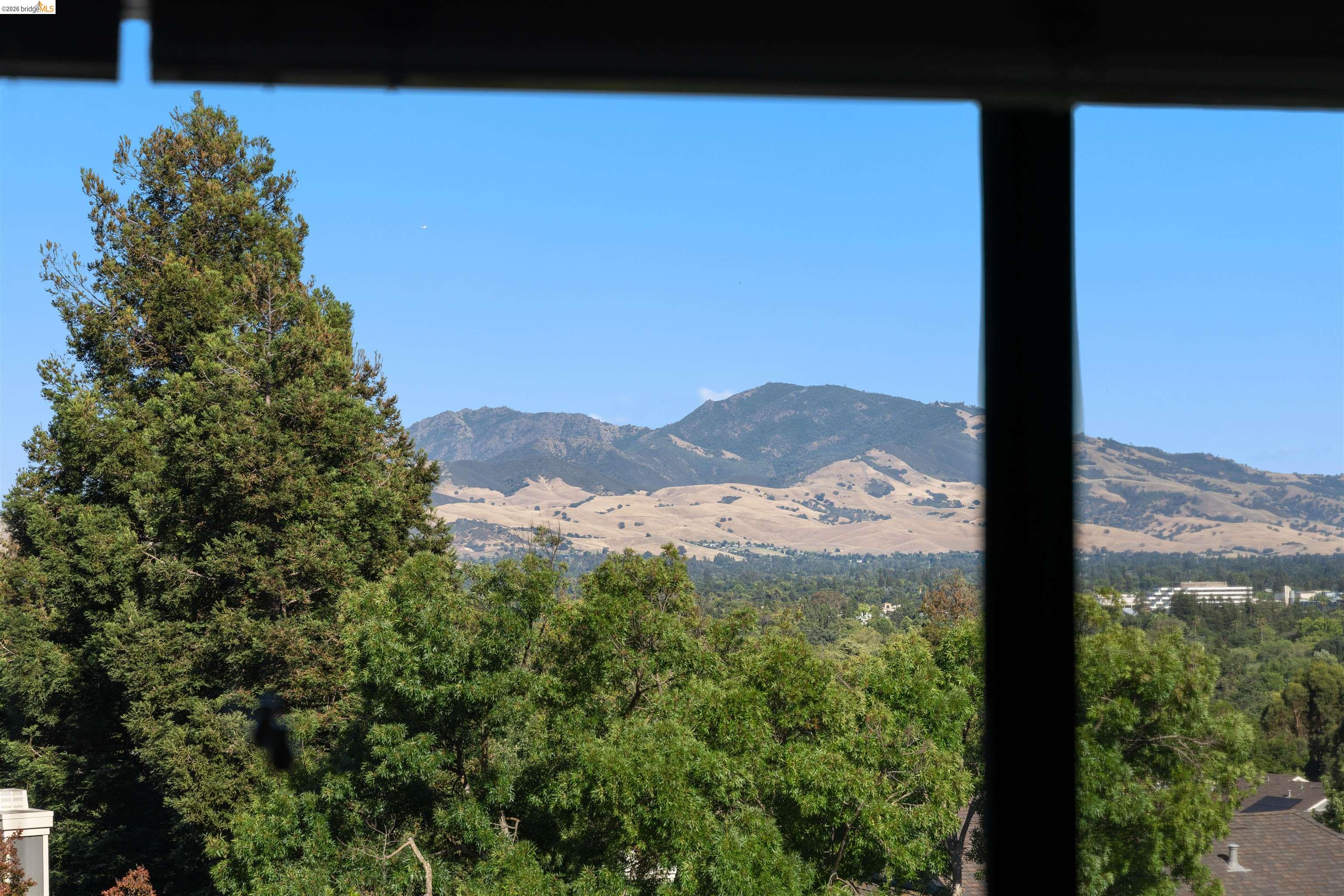 Photo #8: 41138002 Listing: Photo #8