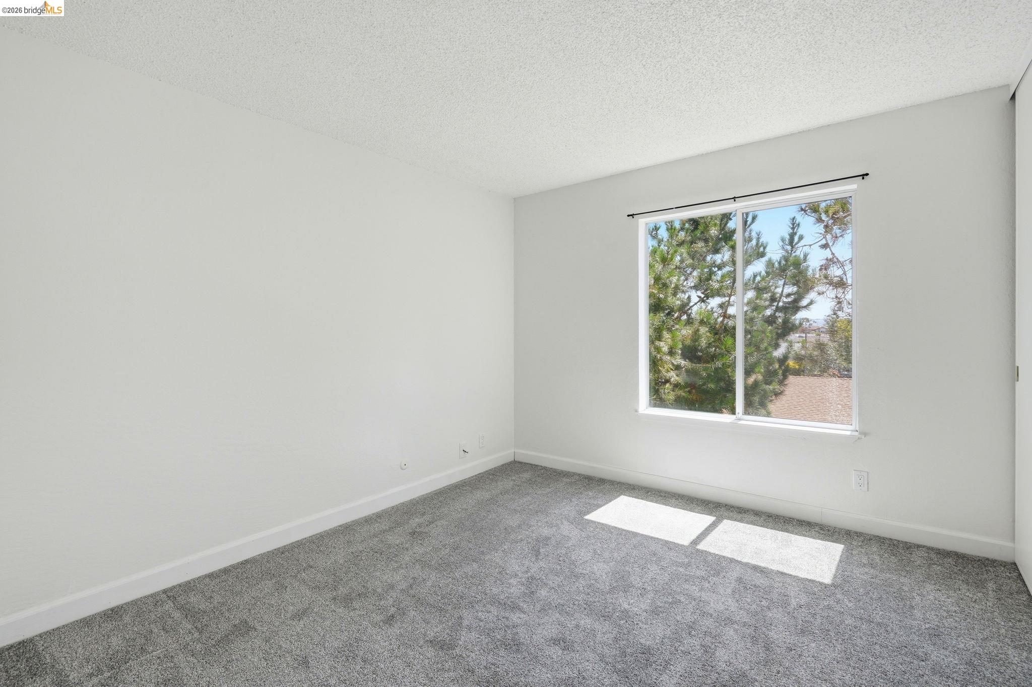 Photo #16: 41138108 Listing: Photo #16