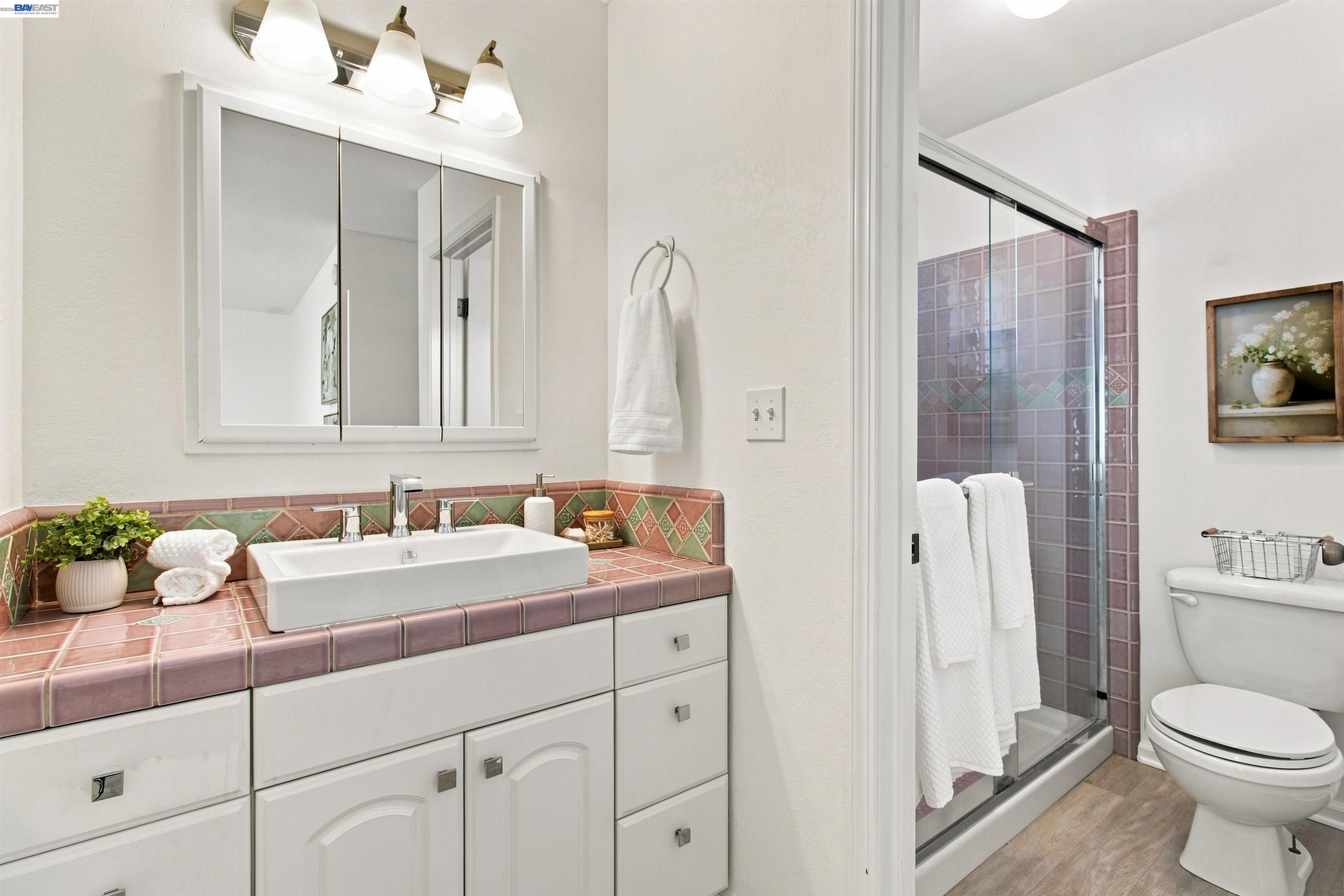 241 Garnet Drive, Livermore CA 94550 — photo 37