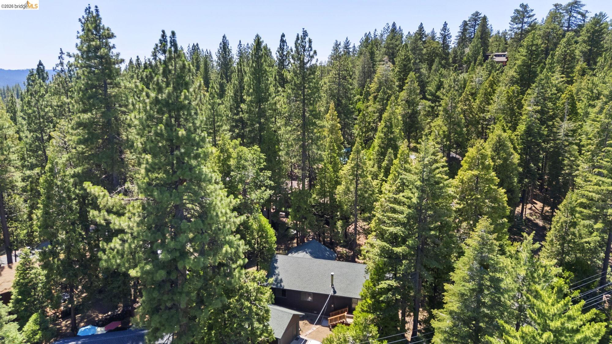 29404 Alpine Dr, Cold Springs CA 95335 — photo 28