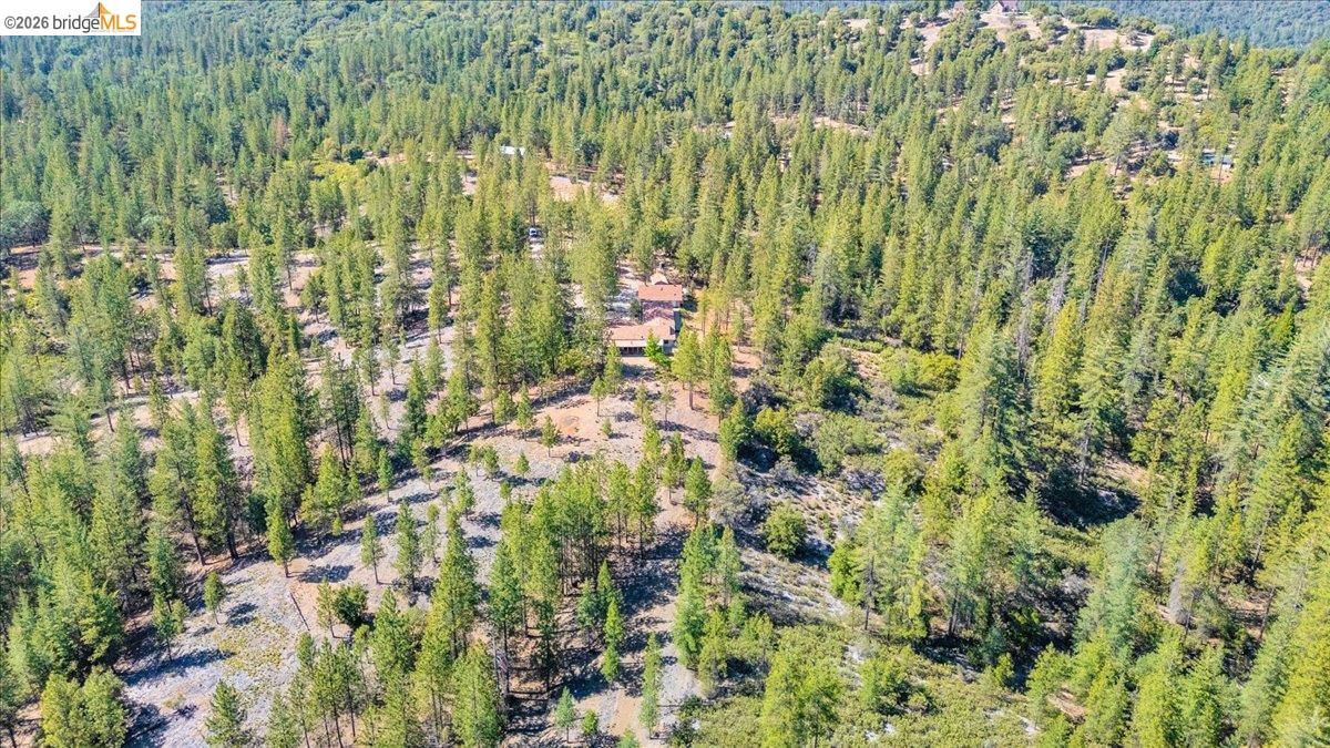 10421 Dexter Ln, Coulterville CA 95311 — photo 19