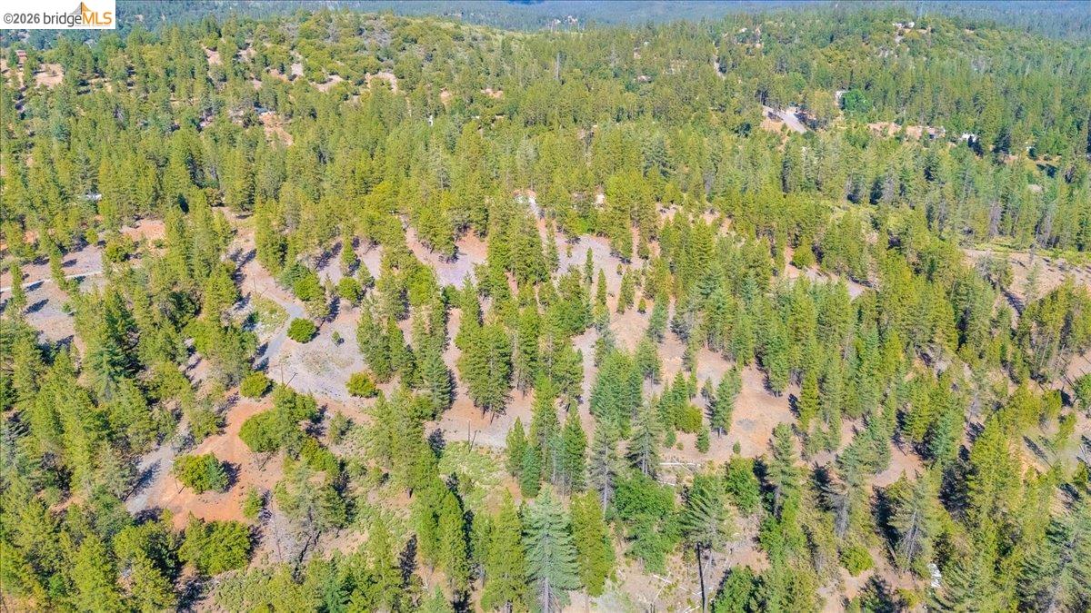10421 Dexter Ln, Coulterville CA 95311 — photo 21