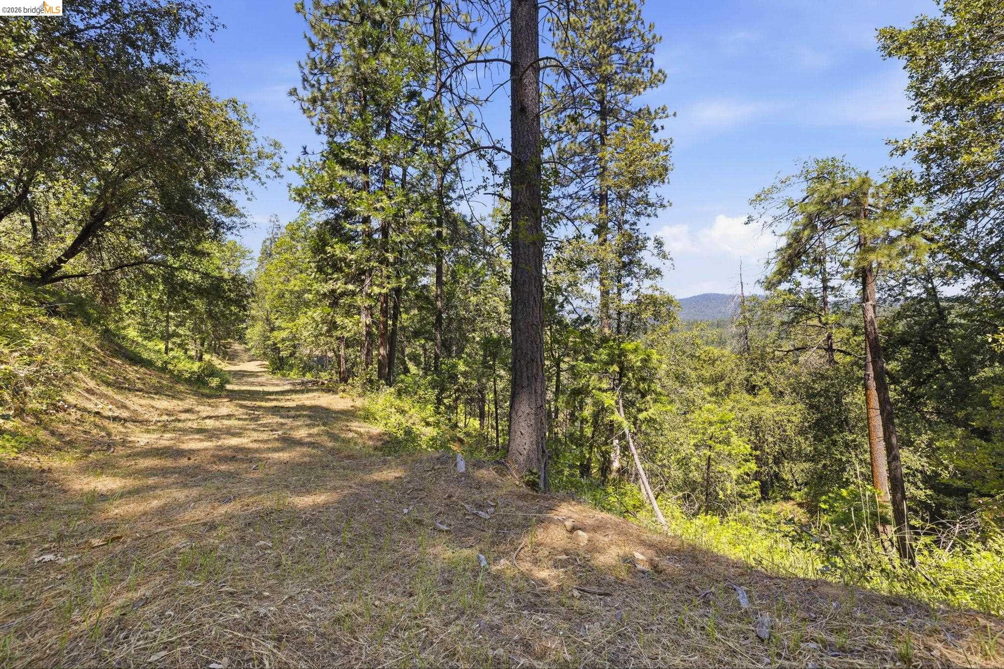 00000 Thunderbolt Drive, Sonora CA 95370 — photo 11