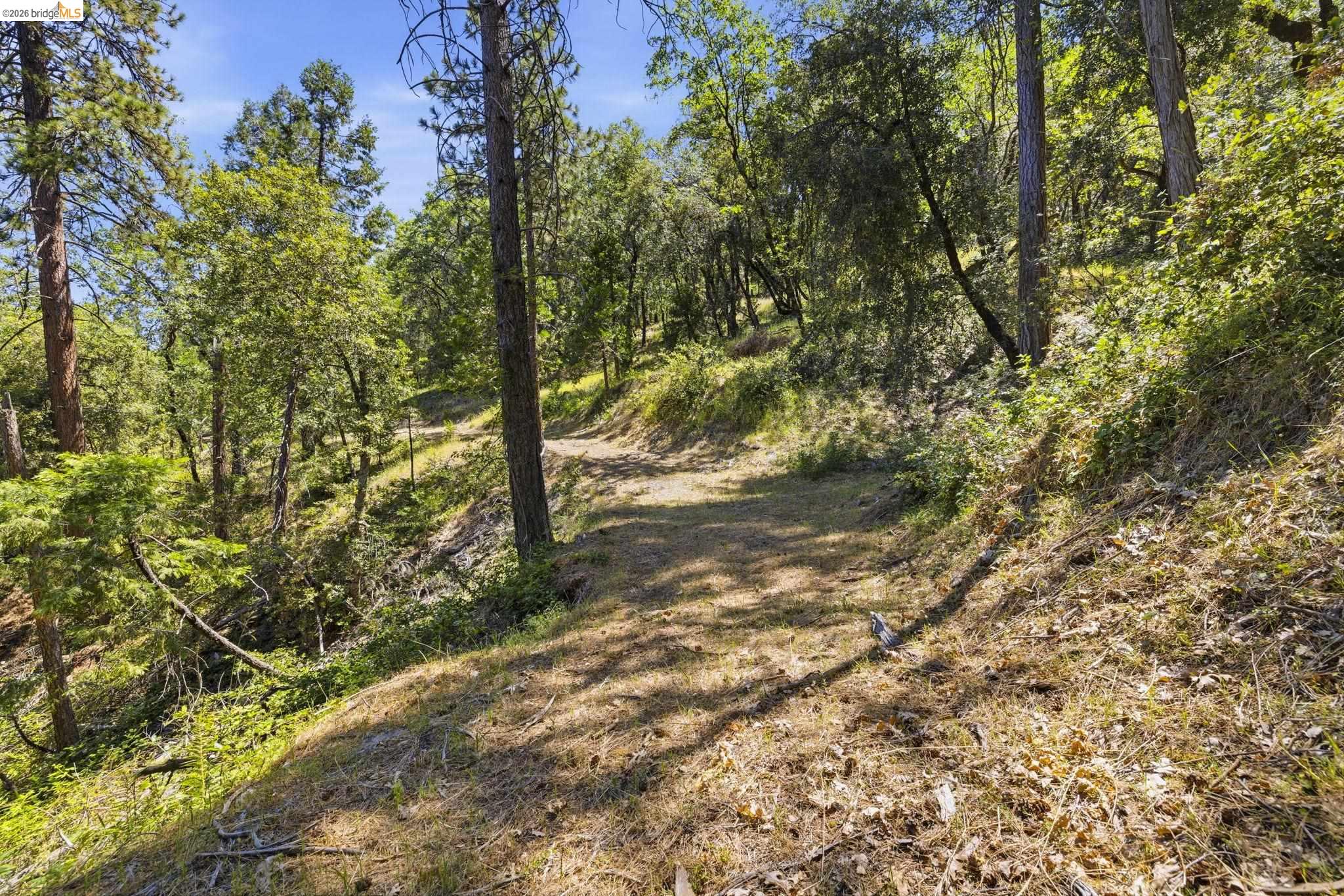 00000 Thunderbolt Drive, Sonora CA 95370 — photo 9