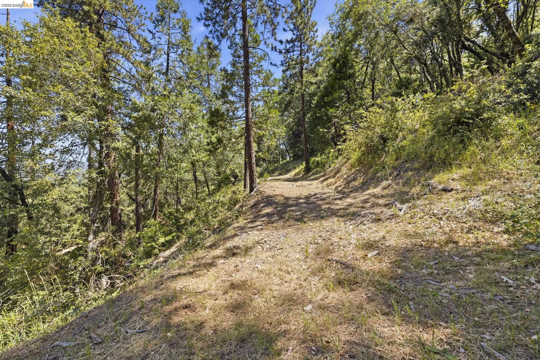 00000 Thunderbolt Drive, Sonora CA 95370 — photo 10