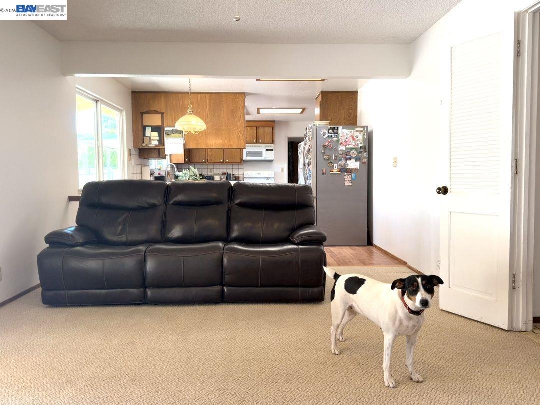 17101 Marsh Creek Rd, Clayton CA 94517 — photo 19