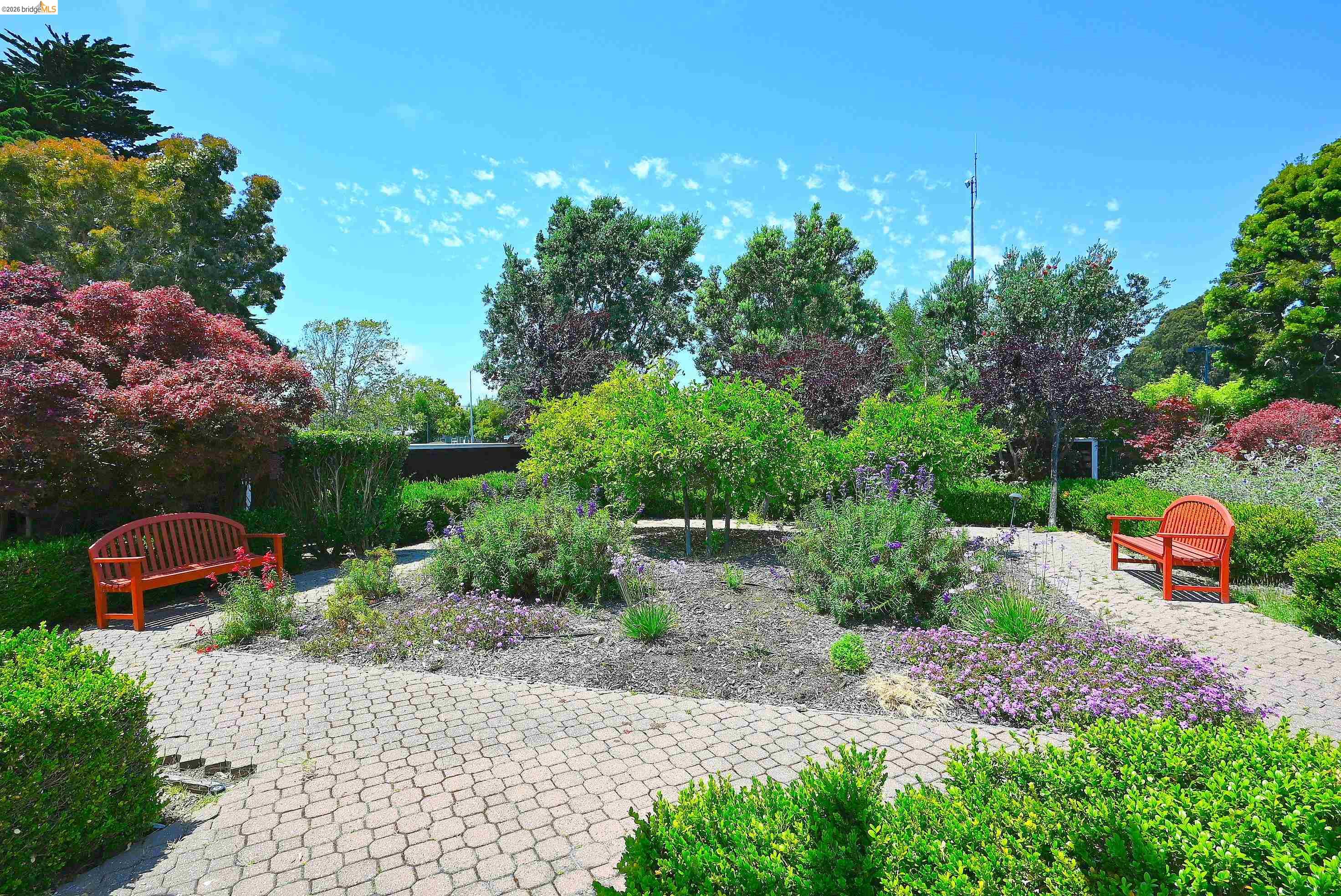 Photo #38: 41138409 Listing: Photo #38