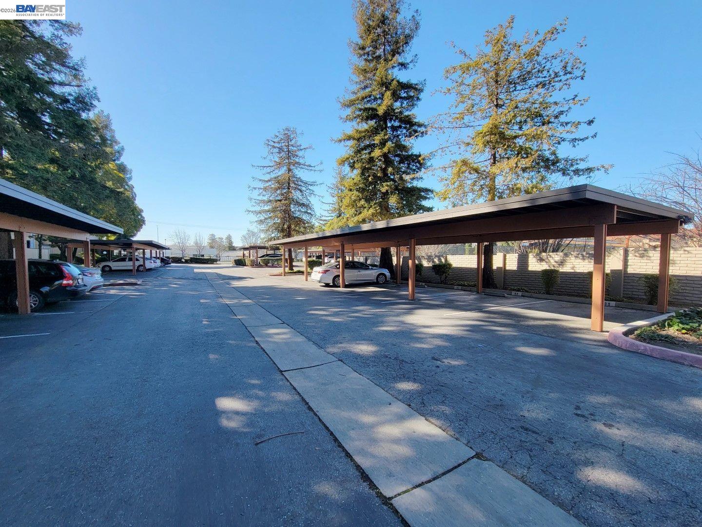 Photo #19: 41138445 Listing: Photo #19